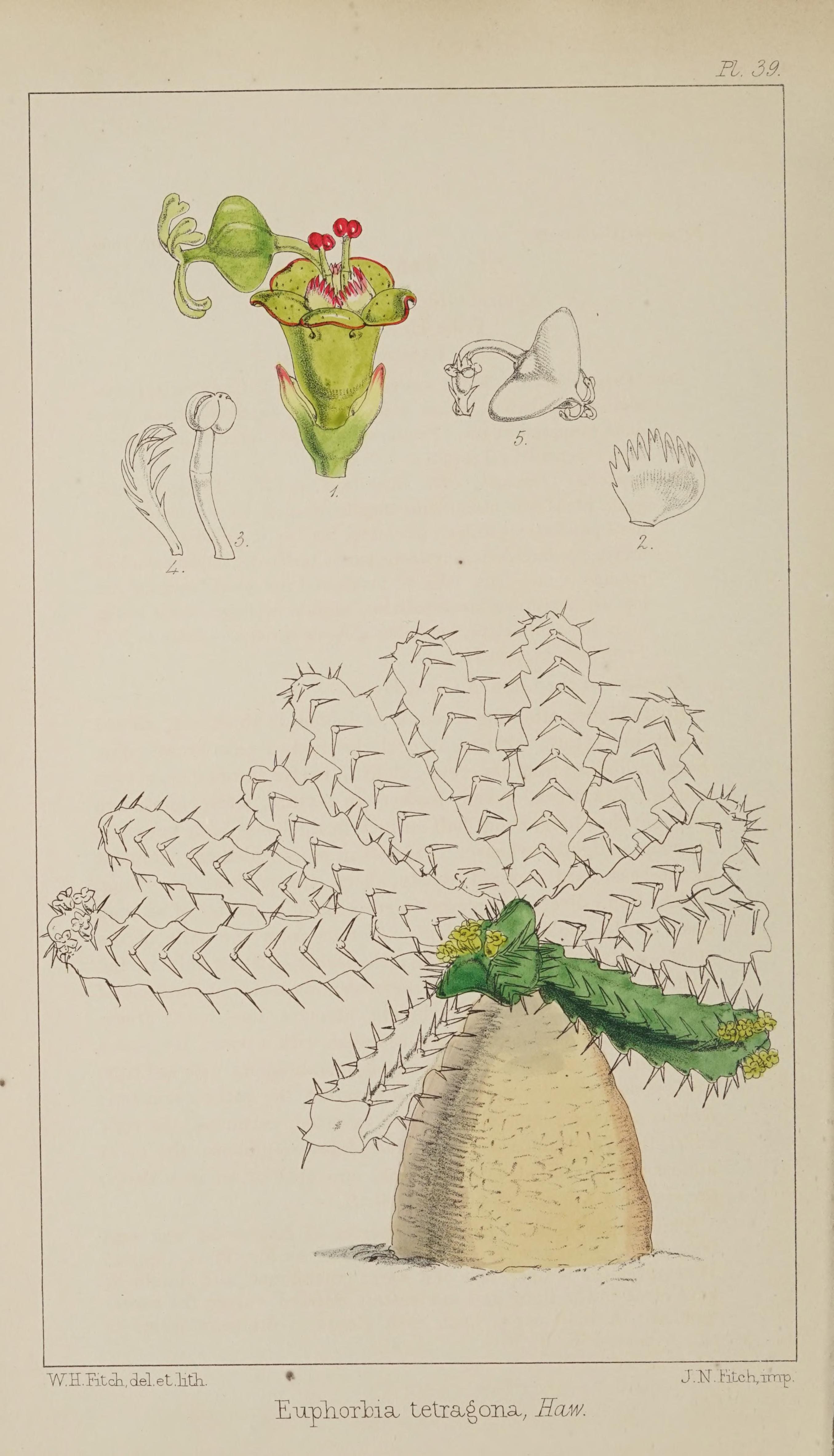 no full size  illustration available (3a)