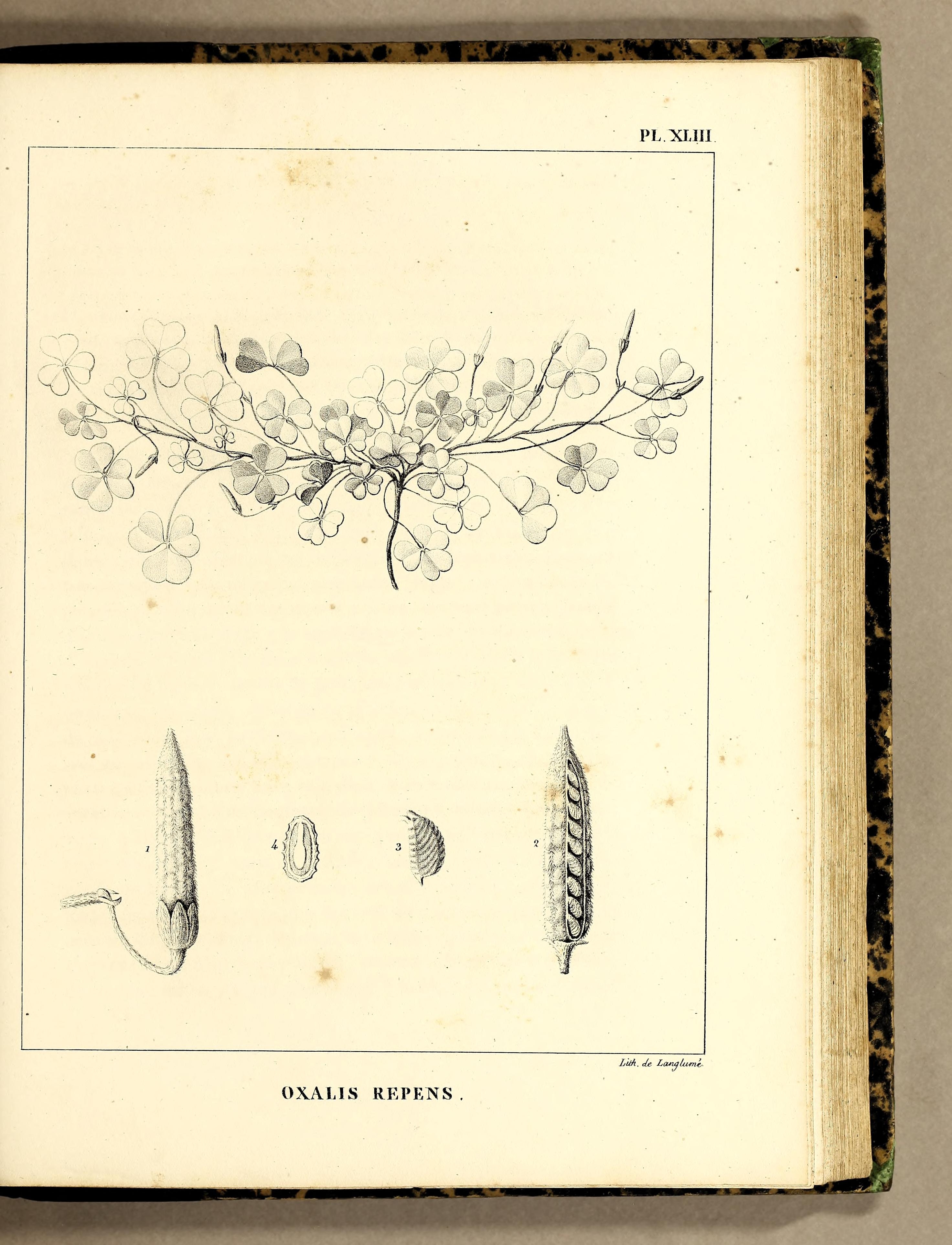 no full size  illustration available (3a)