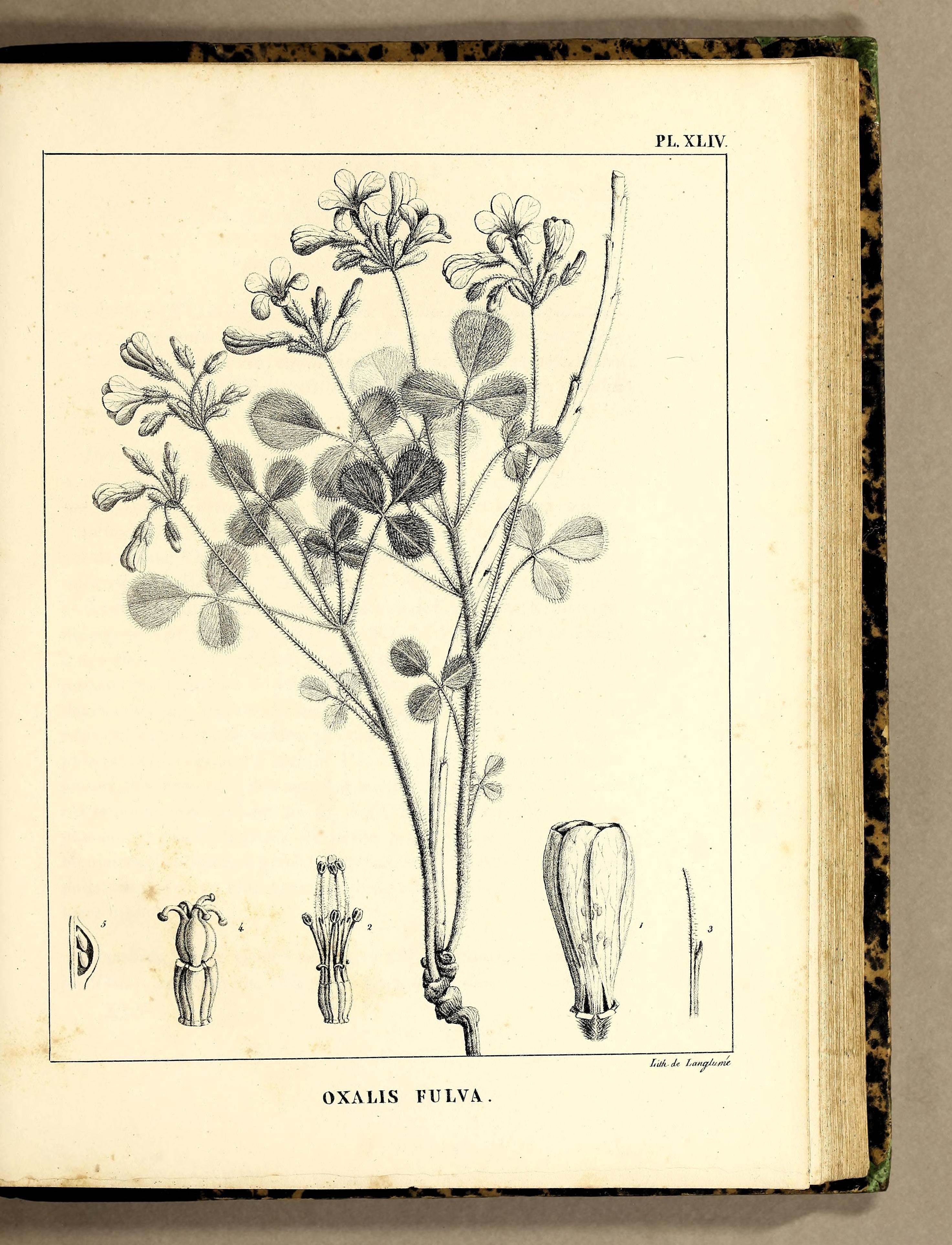 no full size  illustration available (3a)