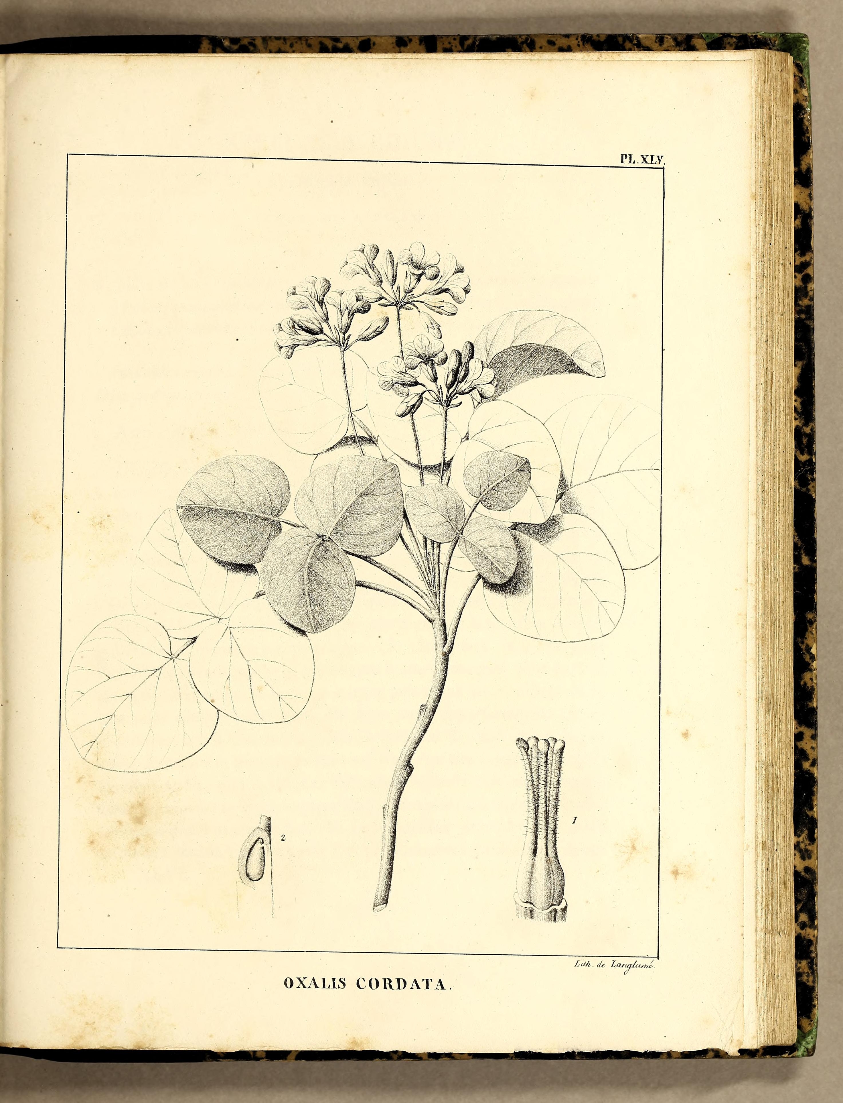 no full size  illustration available (3a)