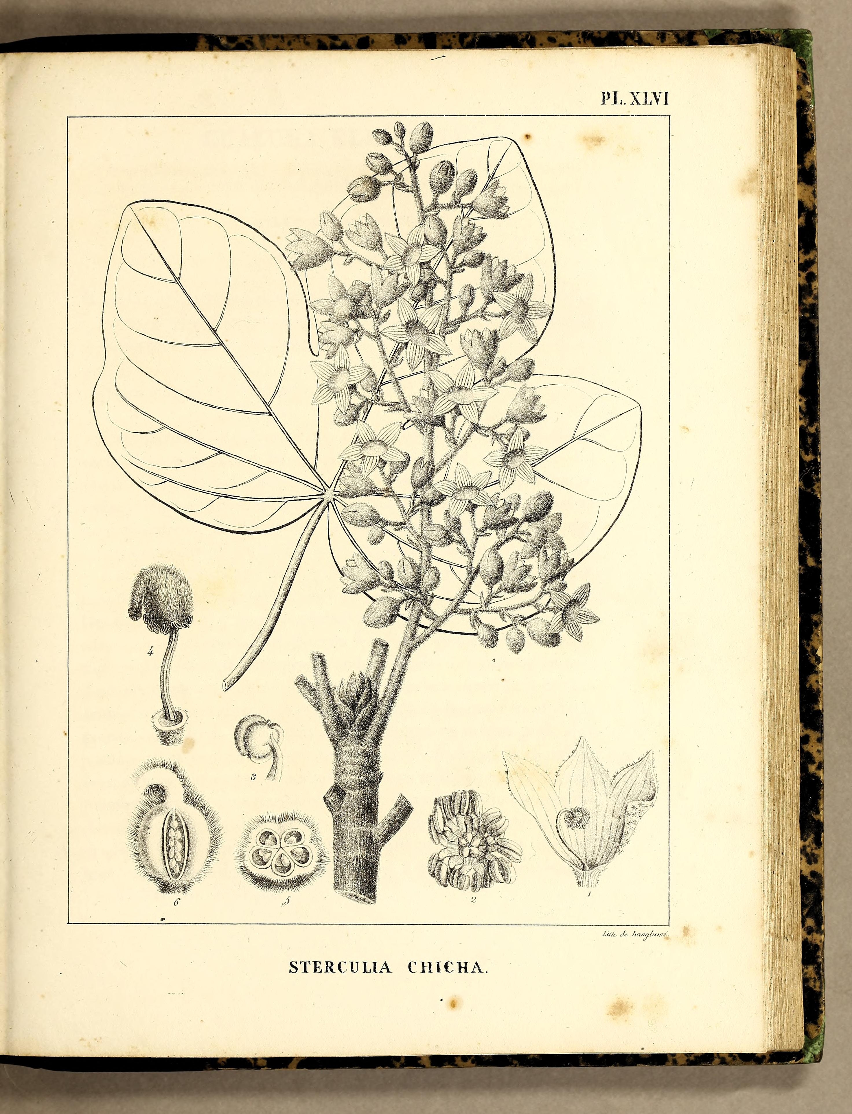 no full size  illustration available (3a)