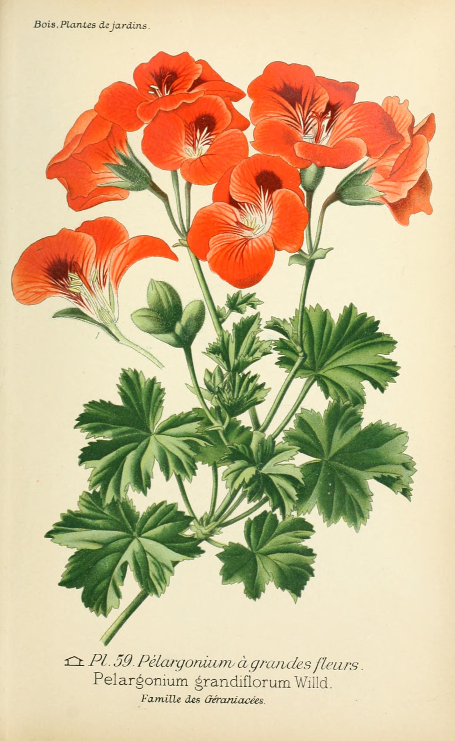 no full size  illustration available (3a)