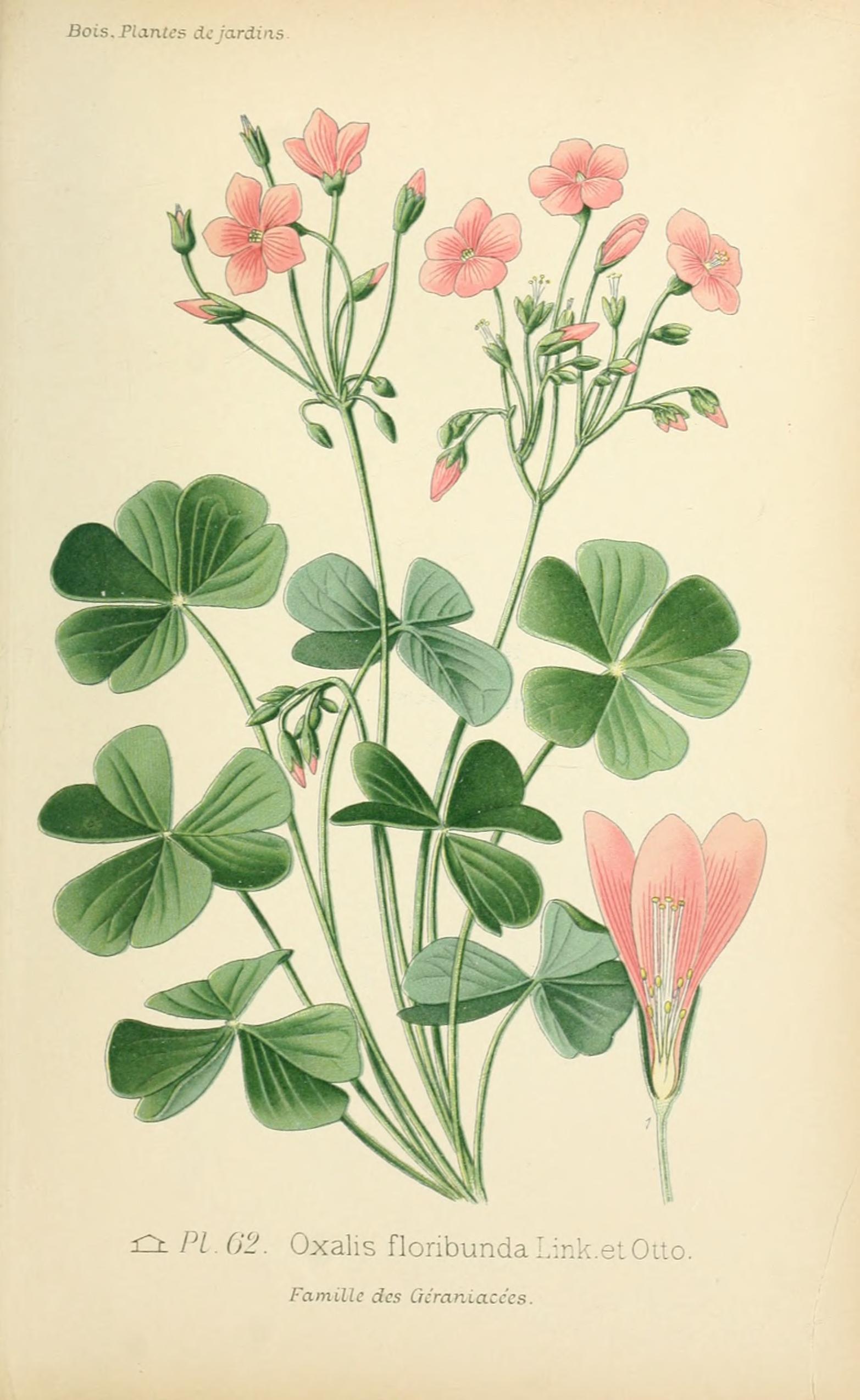 no full size  illustration available (3a)