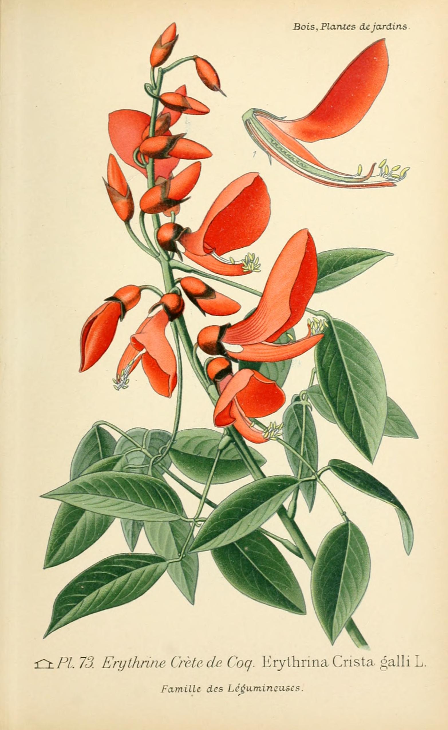 no full size  illustration available (3a)