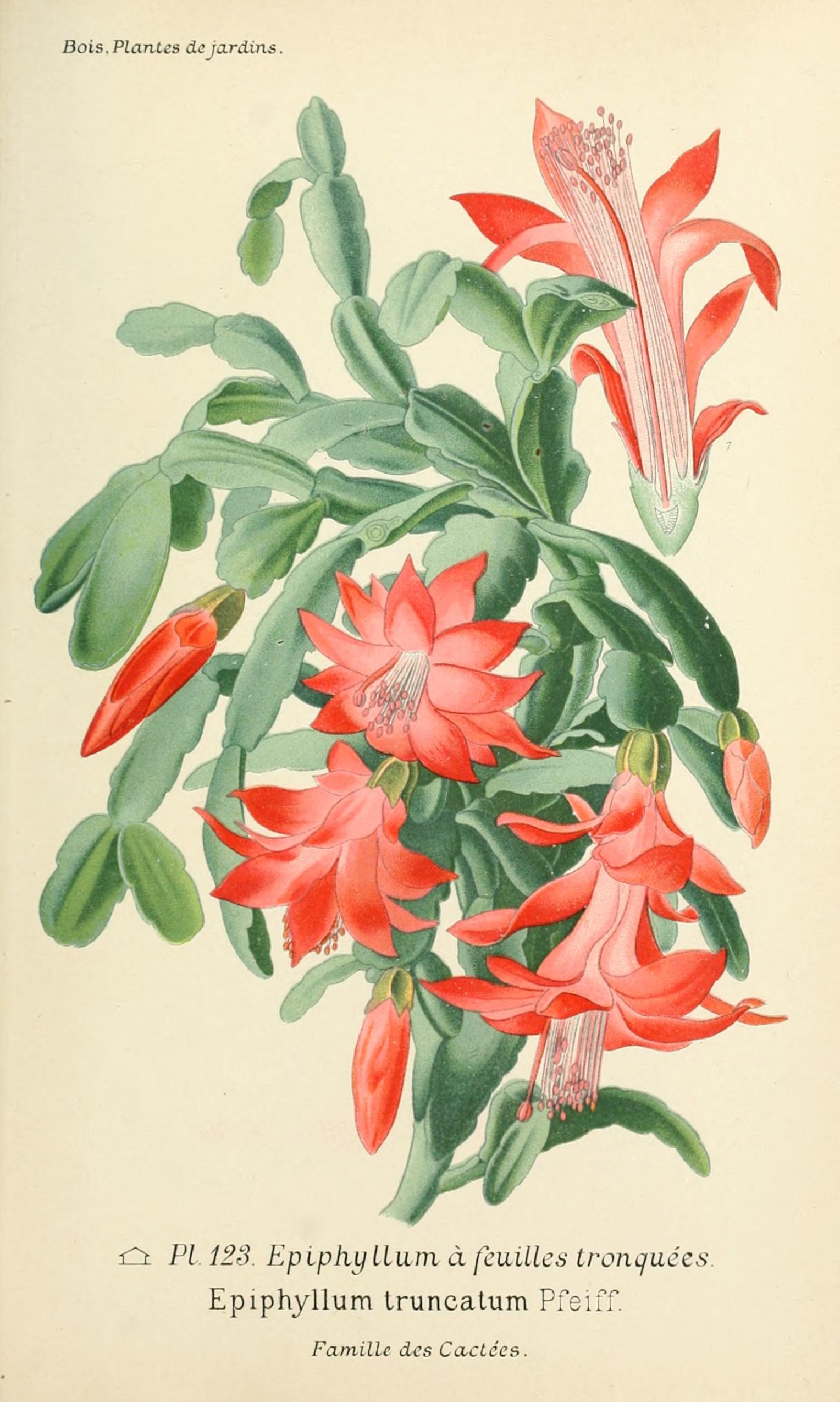 no full size  illustration available (3a)