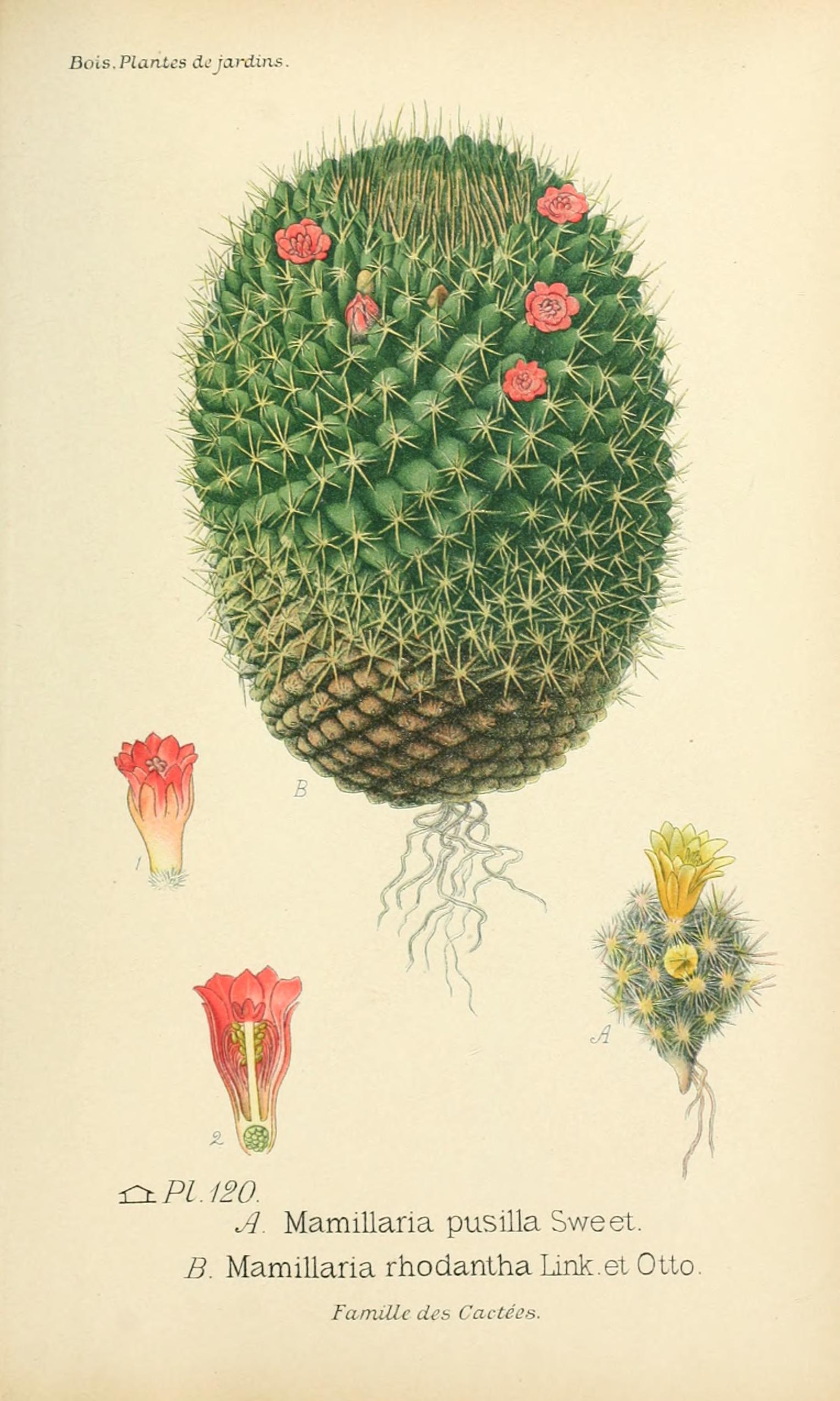 no full size  illustration available (3a)