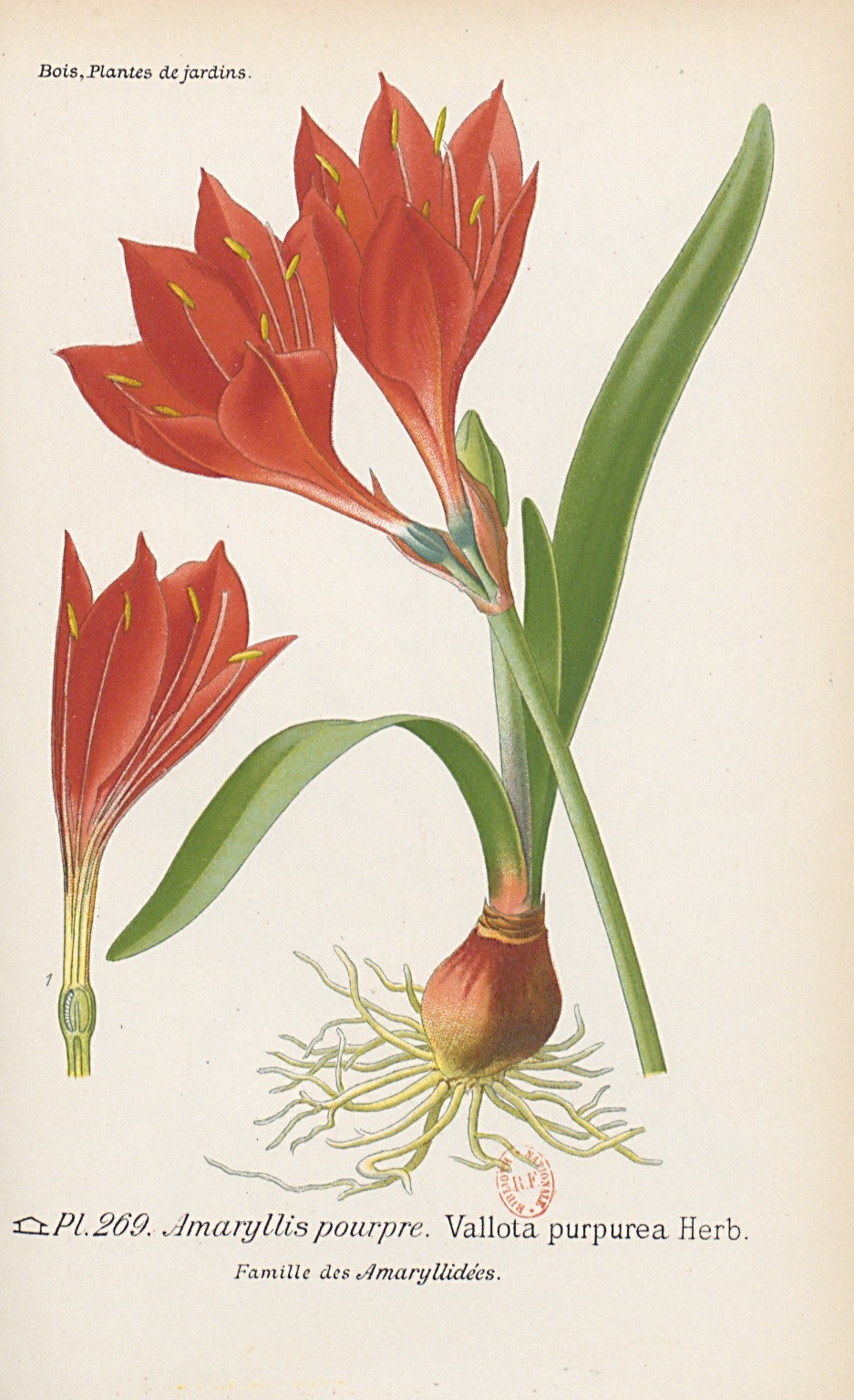 no full size  illustration available (3a)