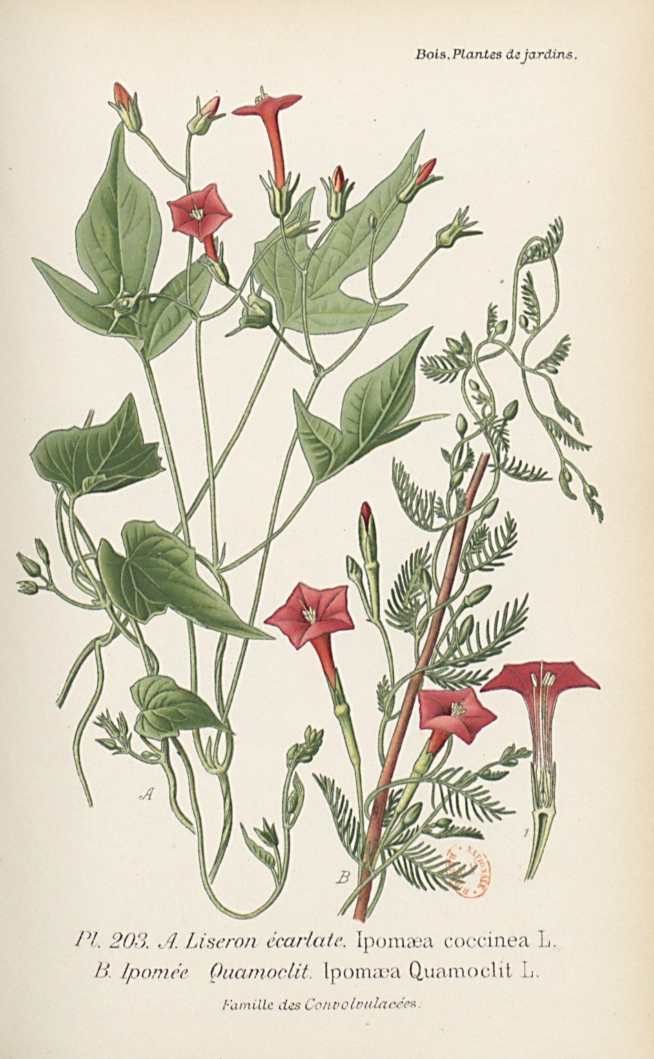 no full size  illustration available (3a)