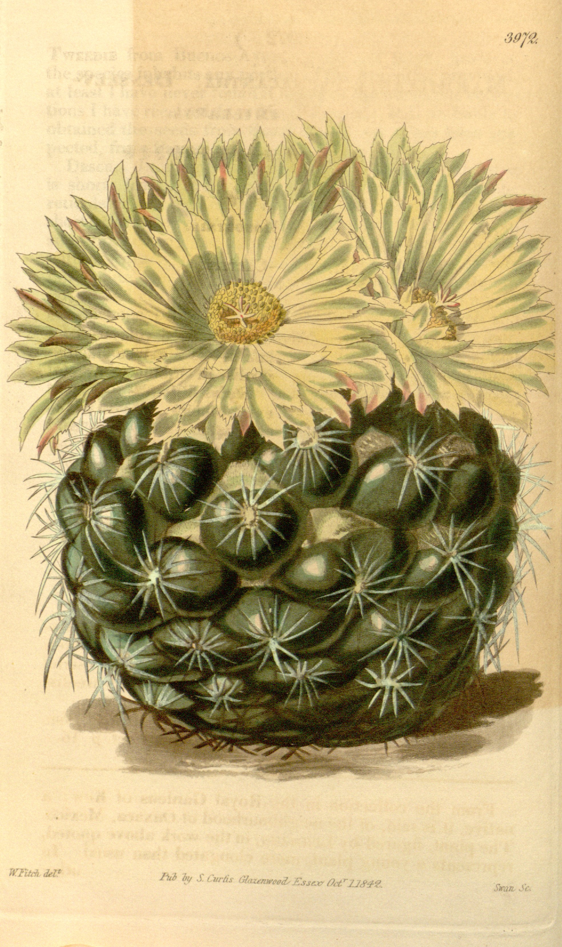 no full size  illustration available (3a)