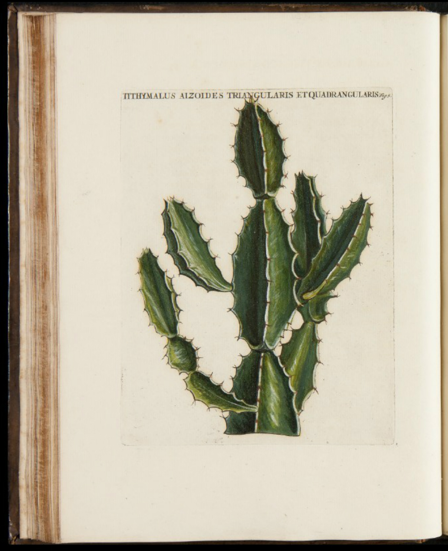 no full size  illustration available (3a)