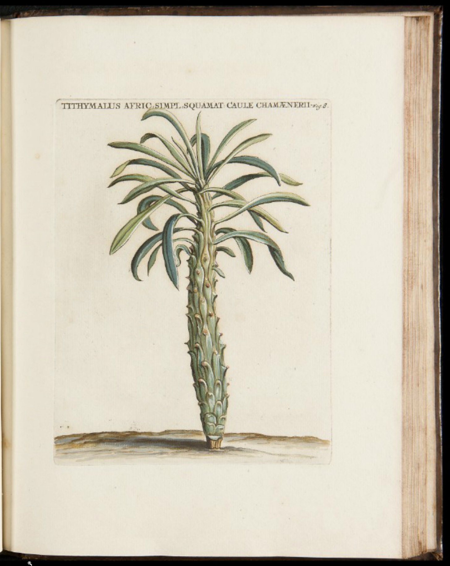 no full size  illustration available (3a)