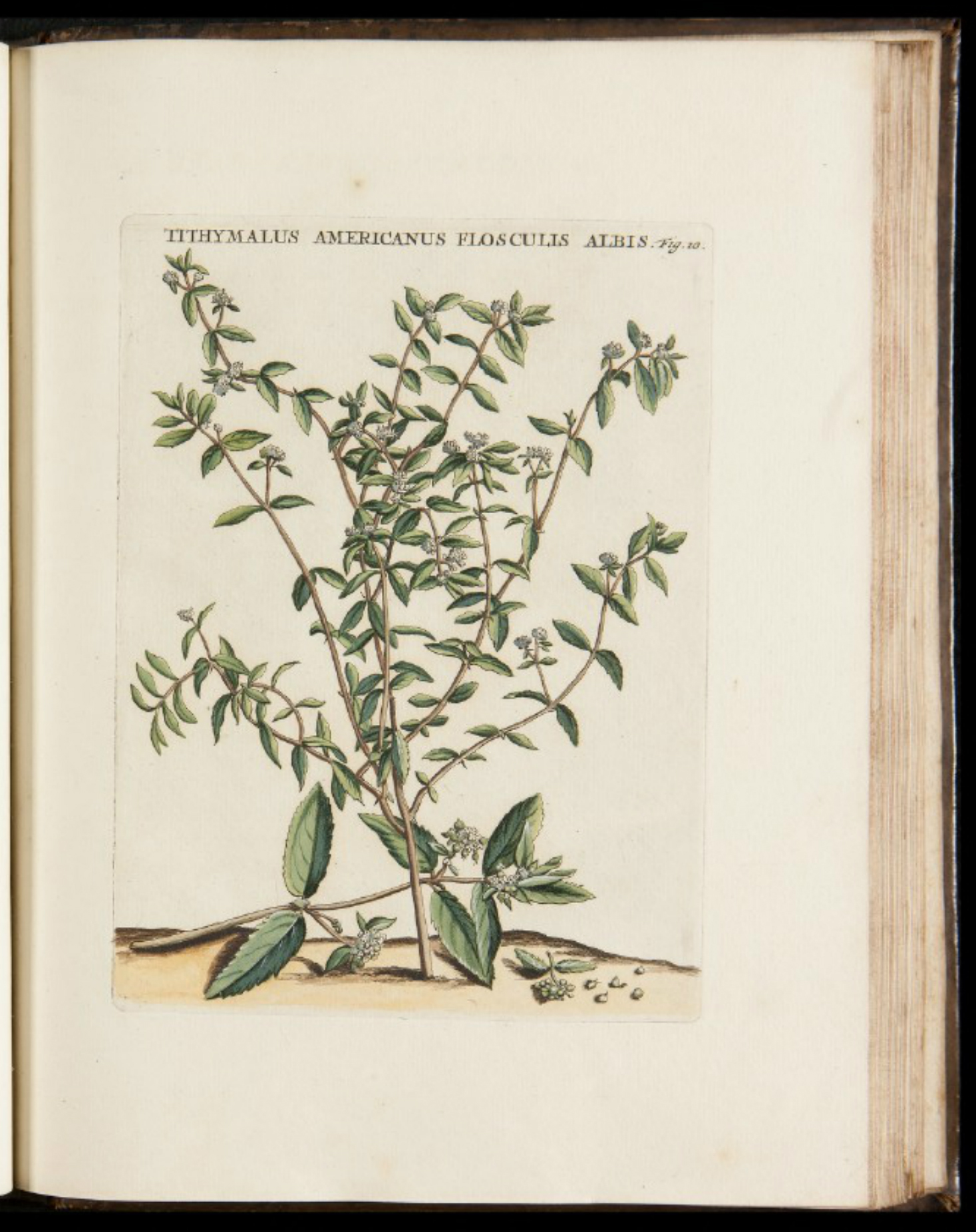 no full size  illustration available (3a)