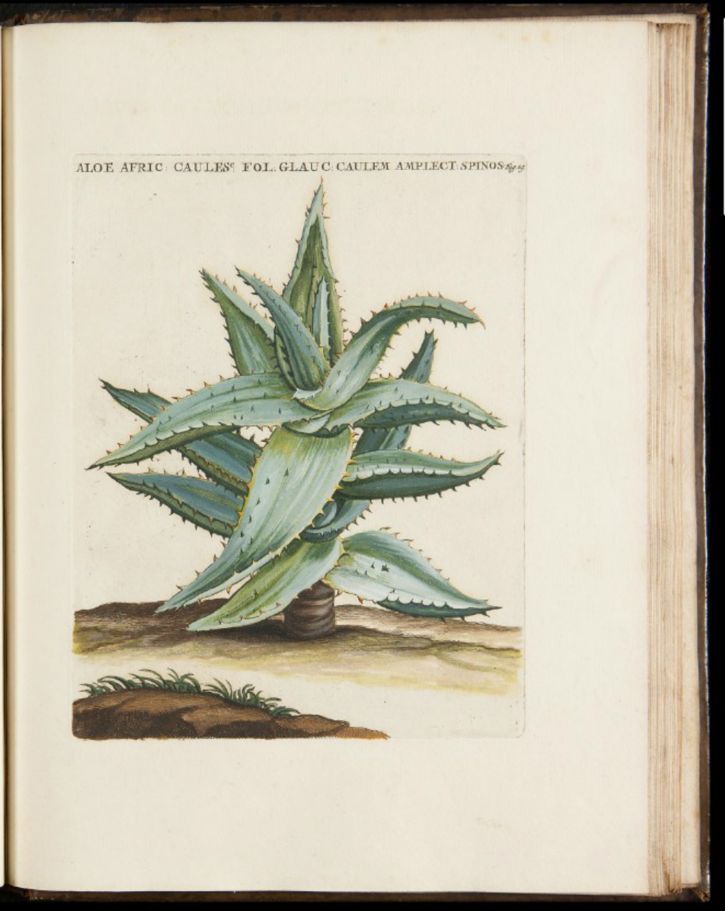 no full size  illustration available (3a)