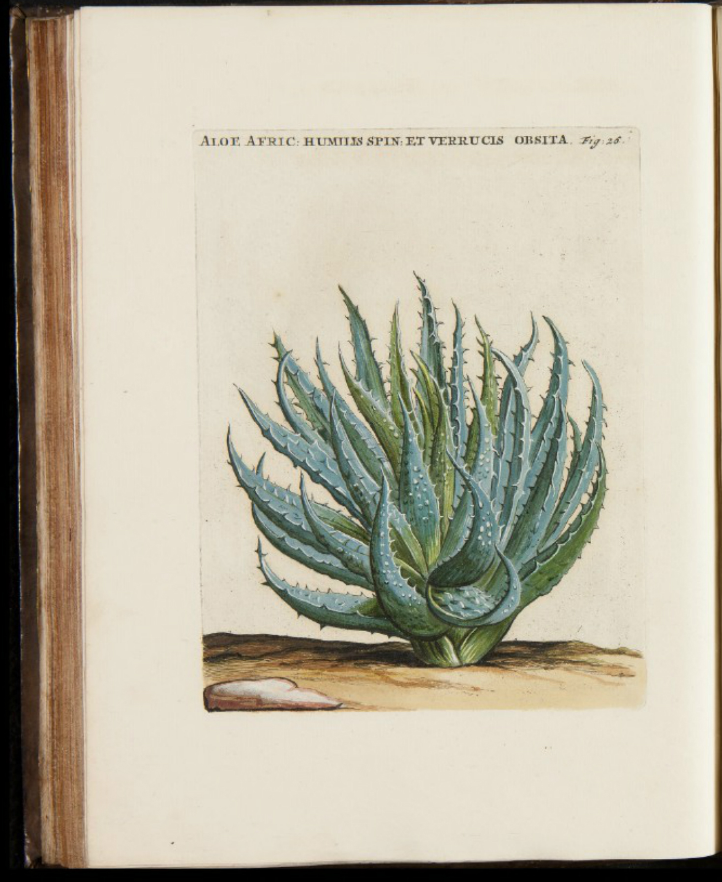 no full size  illustration available (3a)