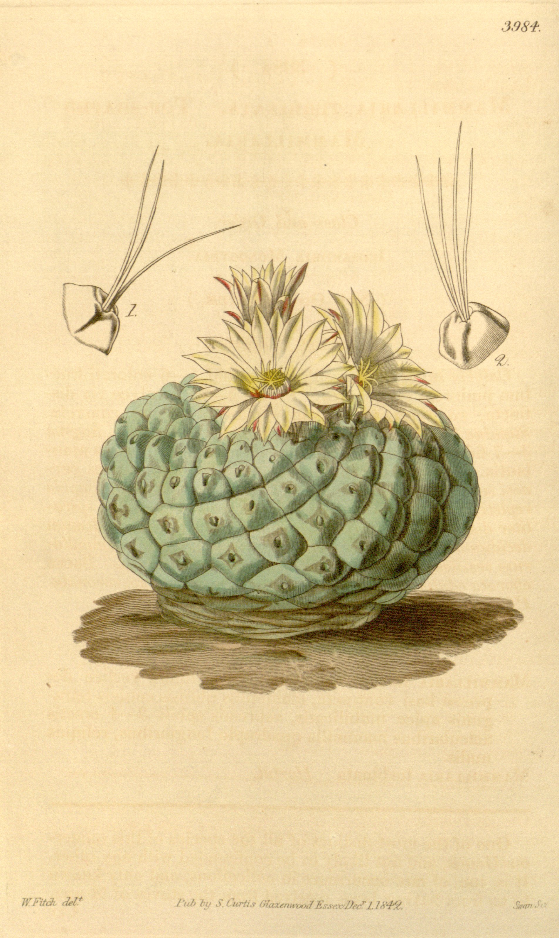 no full size  illustration available (3a)