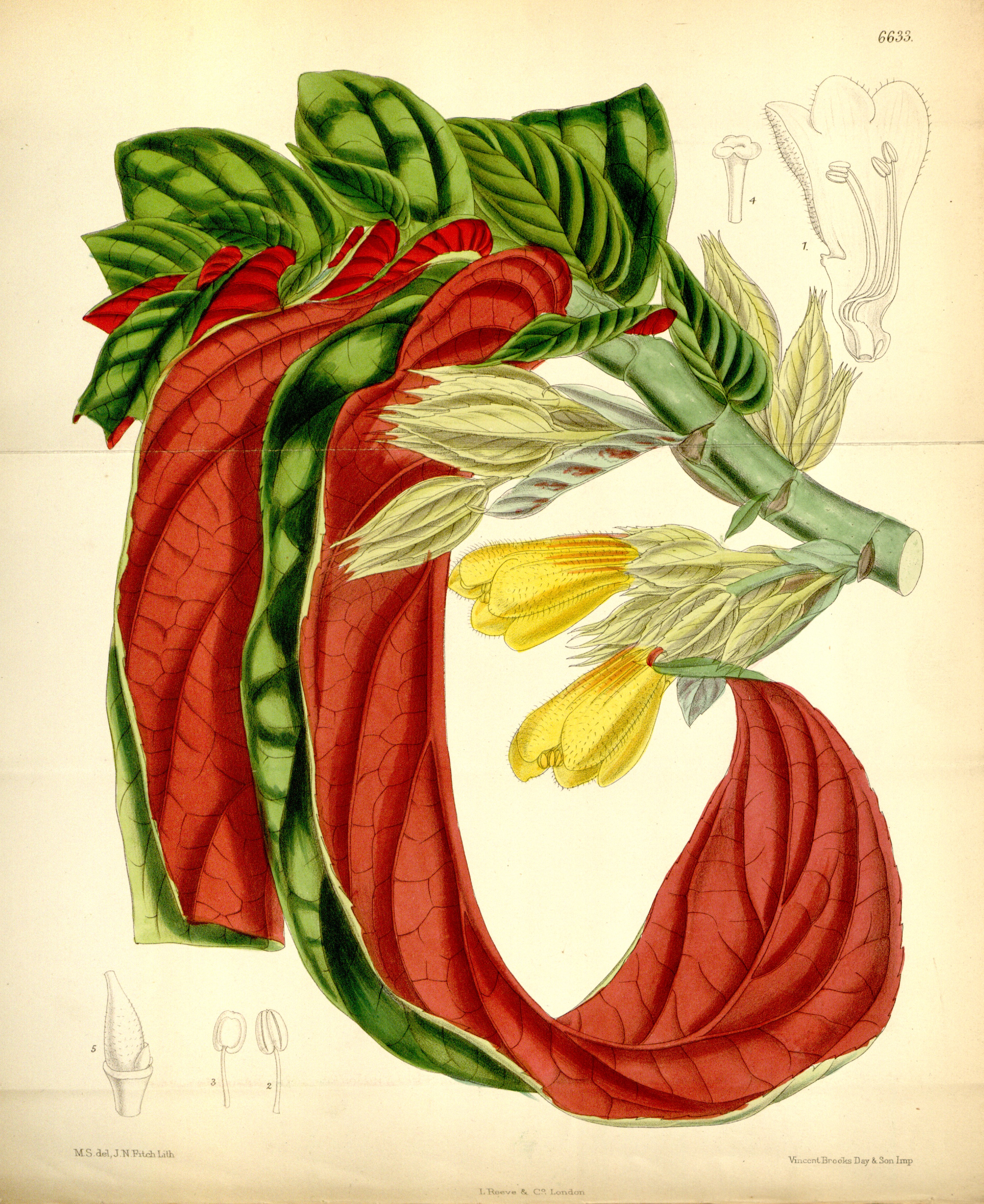 no full size  illustration available (3a)