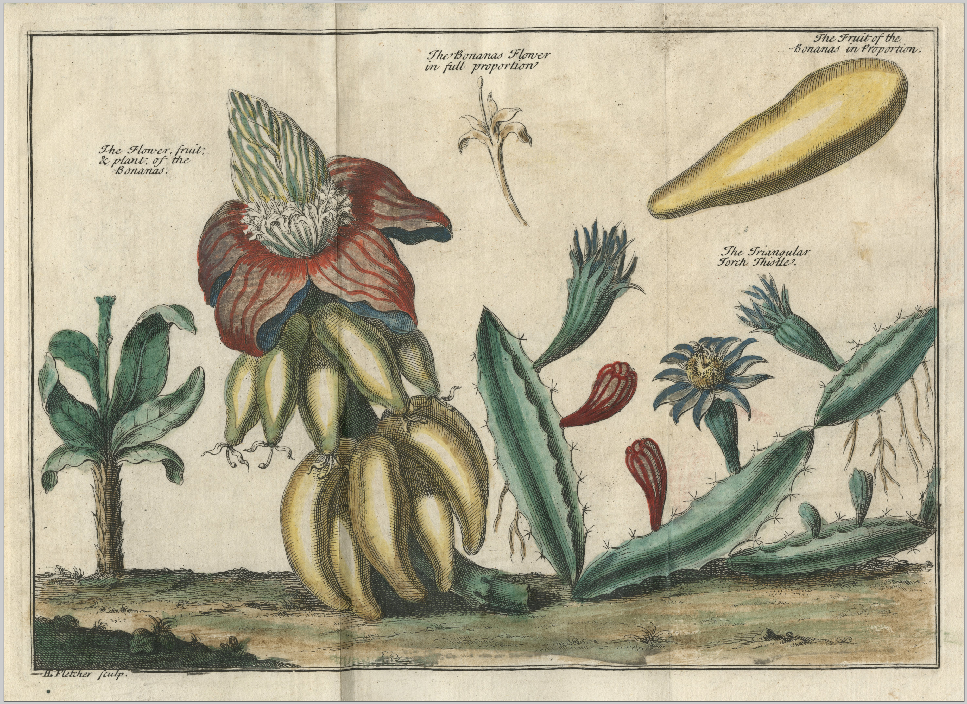 no full size  illustration available (3a)