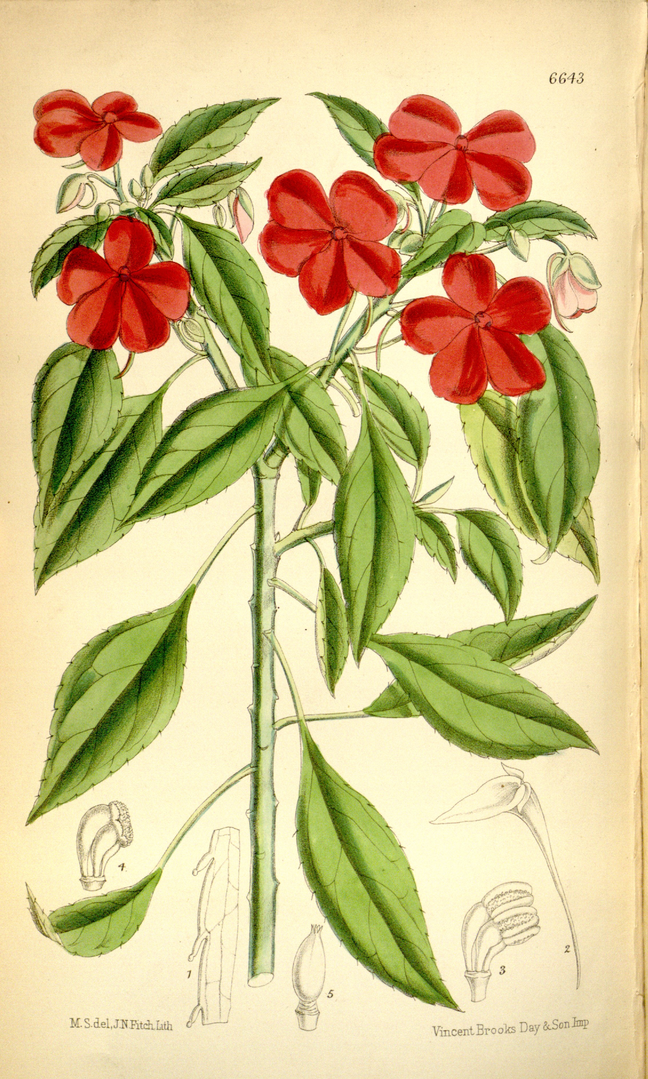 no full size  illustration available (3a)