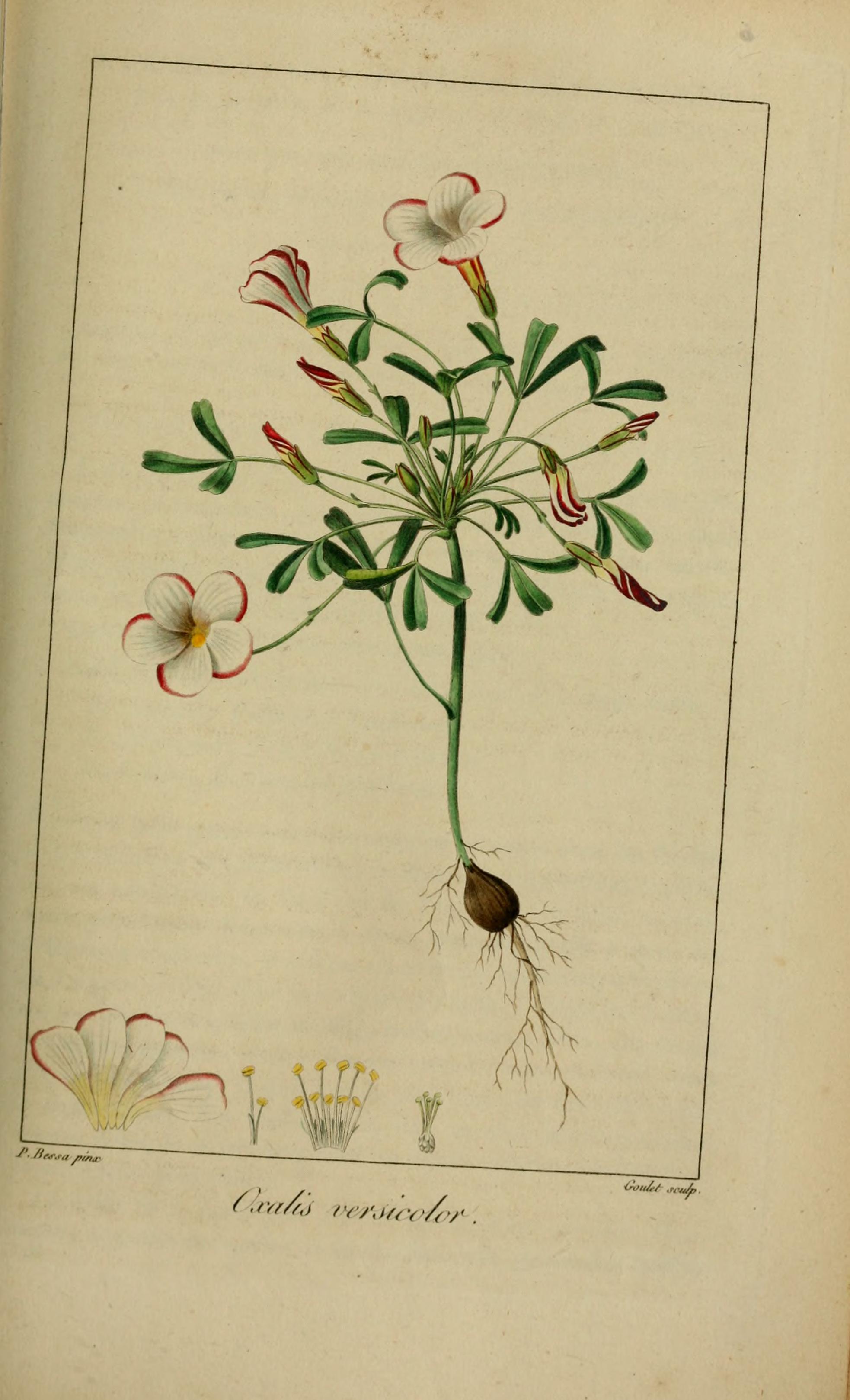 no full size  illustration available (3a)