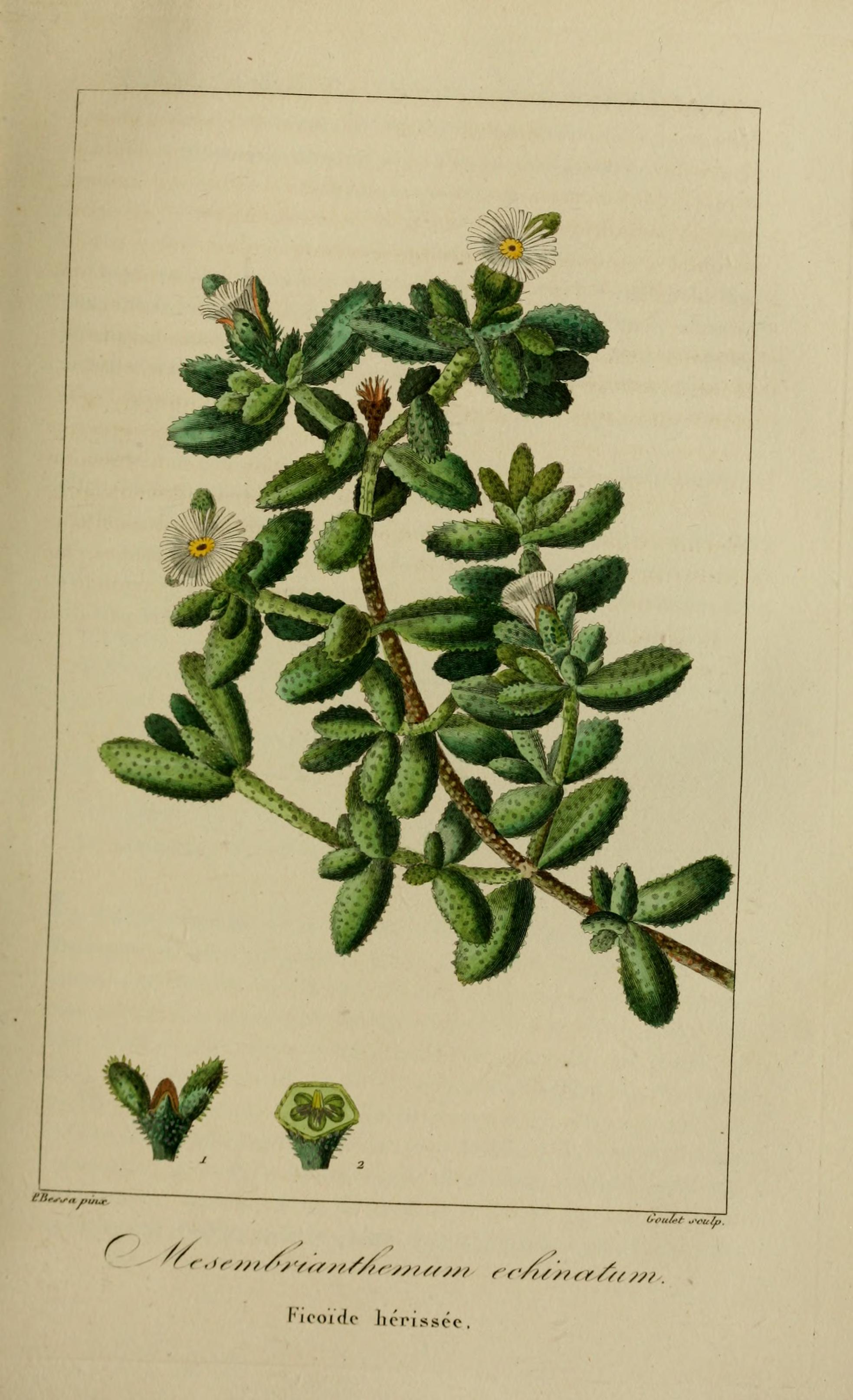 no full size  illustration available (3a)