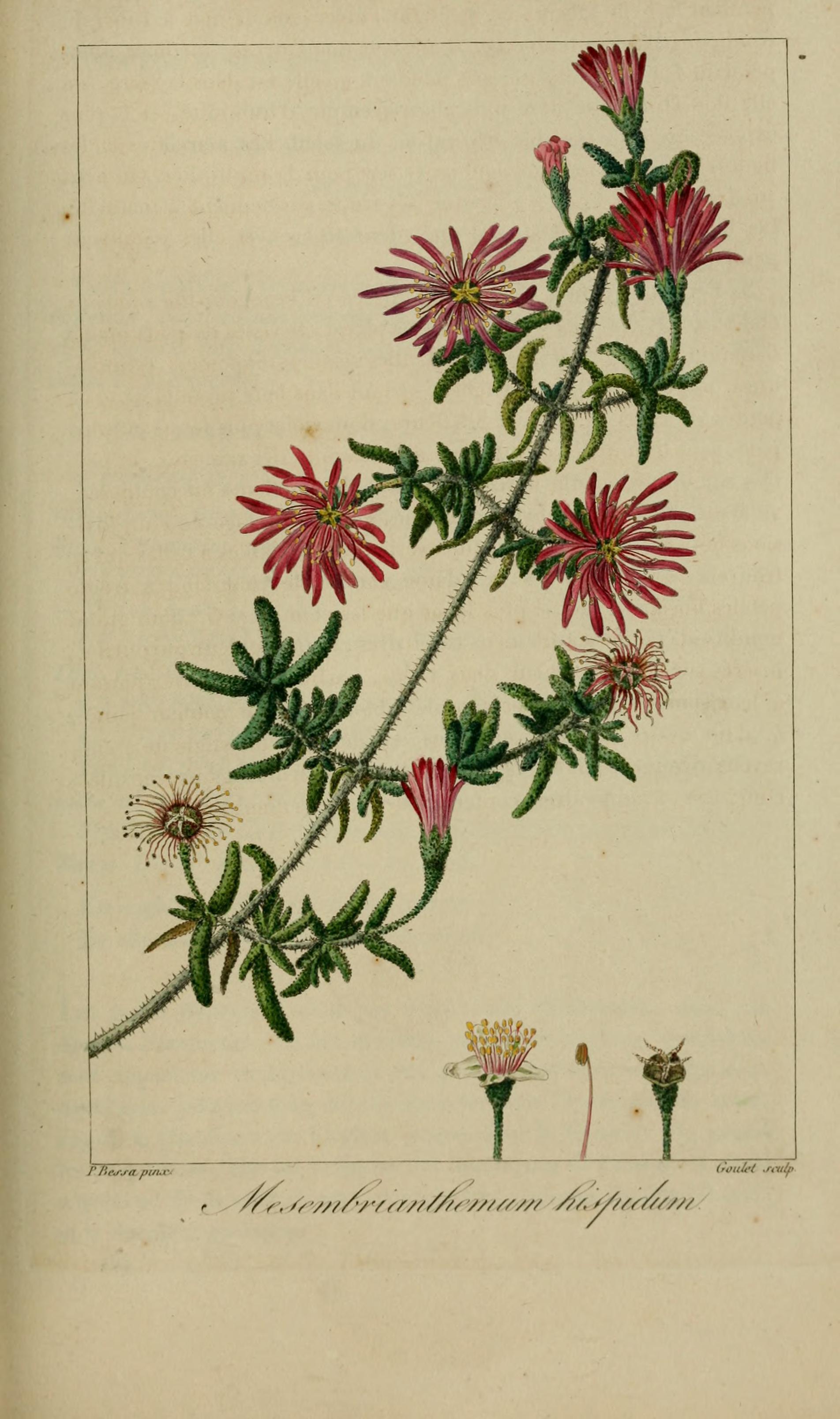 no full size  illustration available (3a)