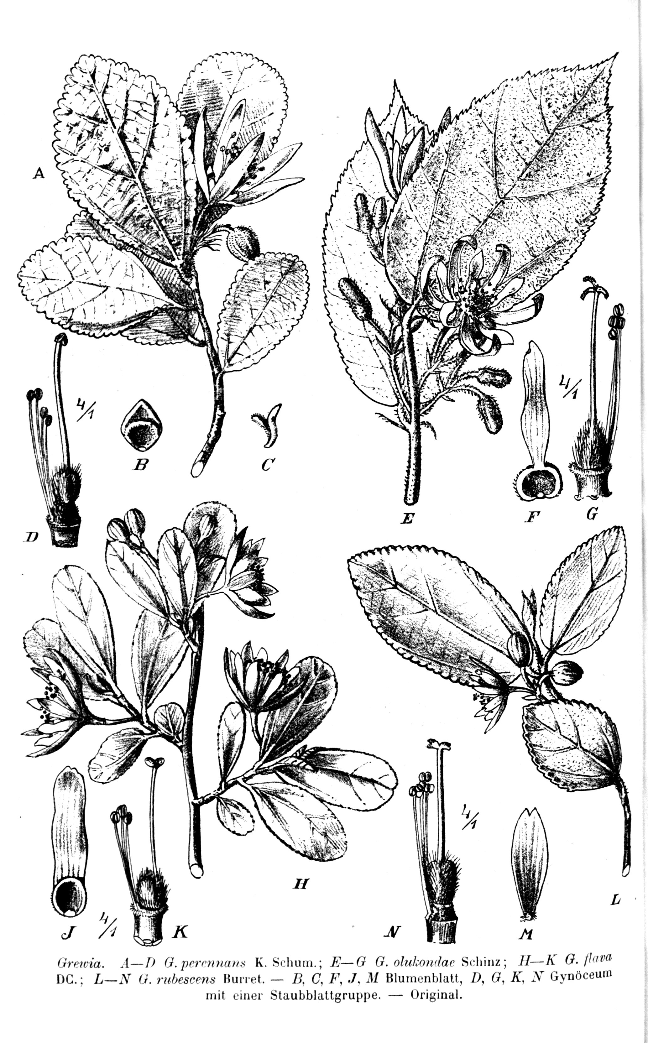 no full size  illustration available (3a)