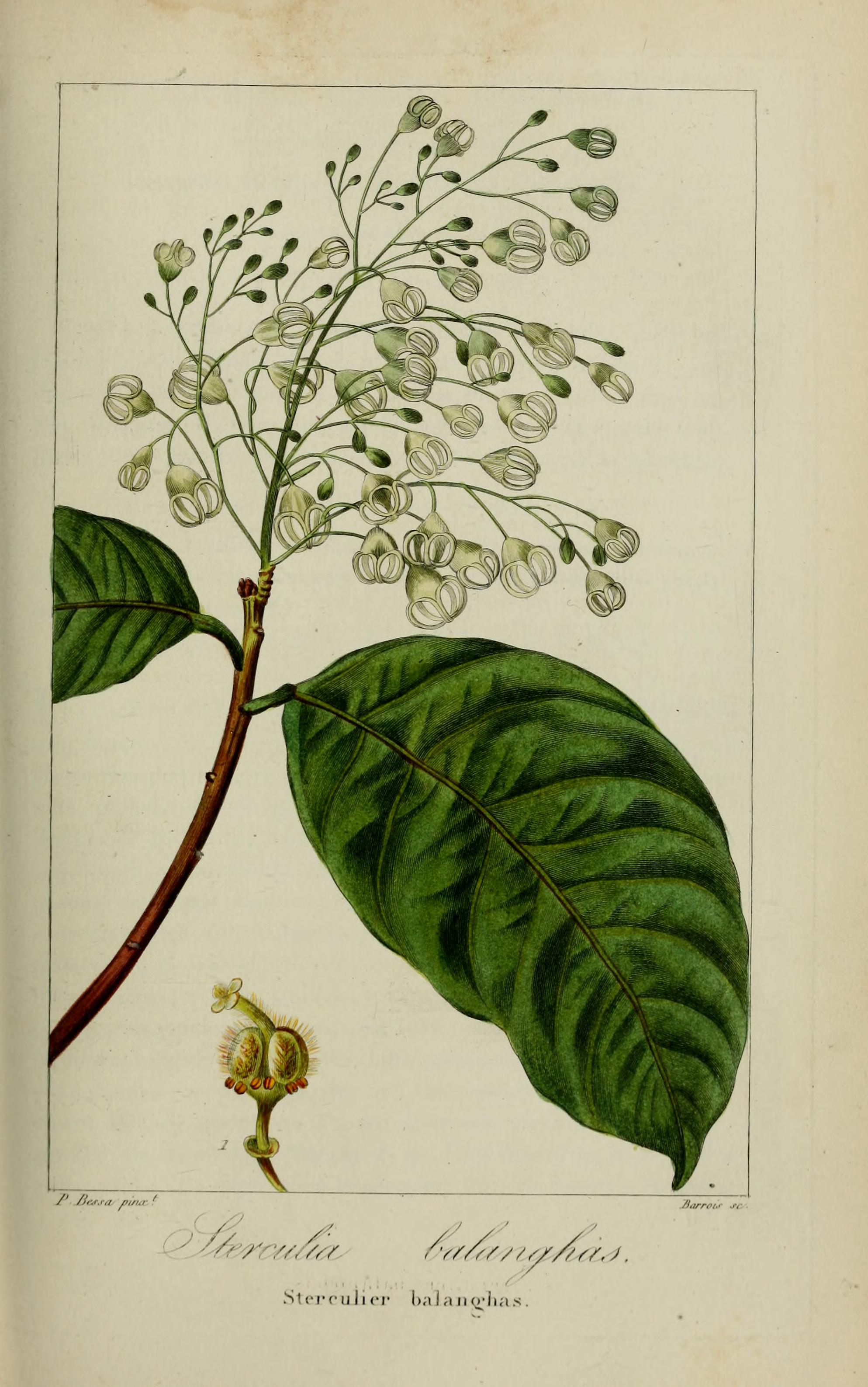 no full size  illustration available (3a)