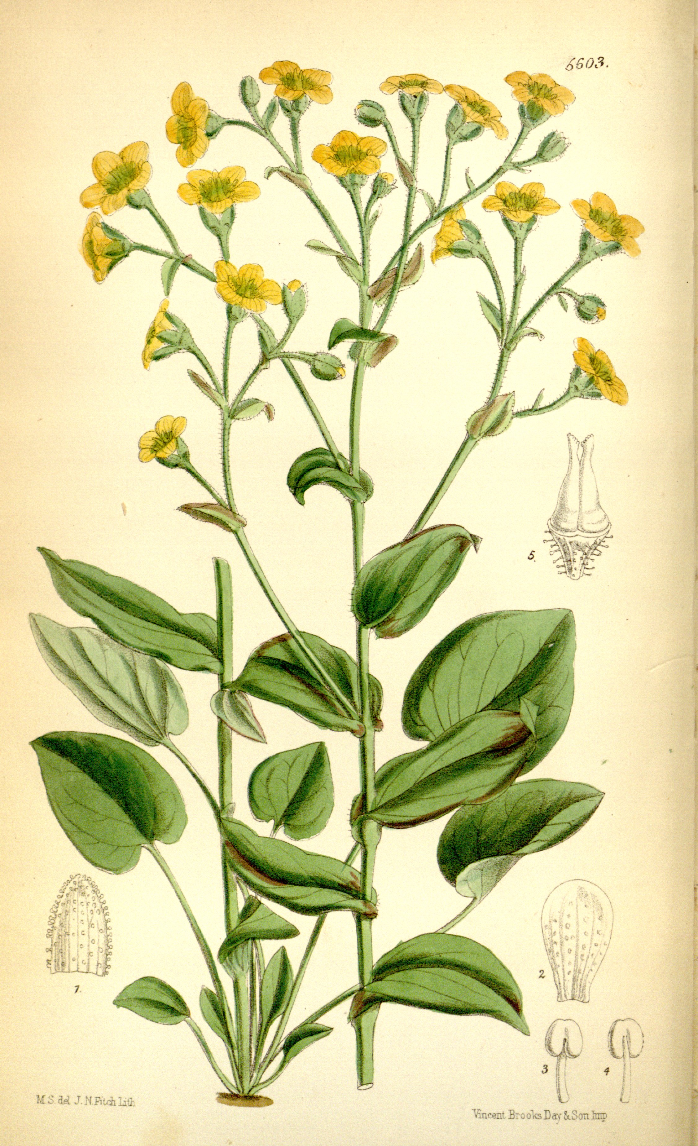 no full size  illustration available (3a)