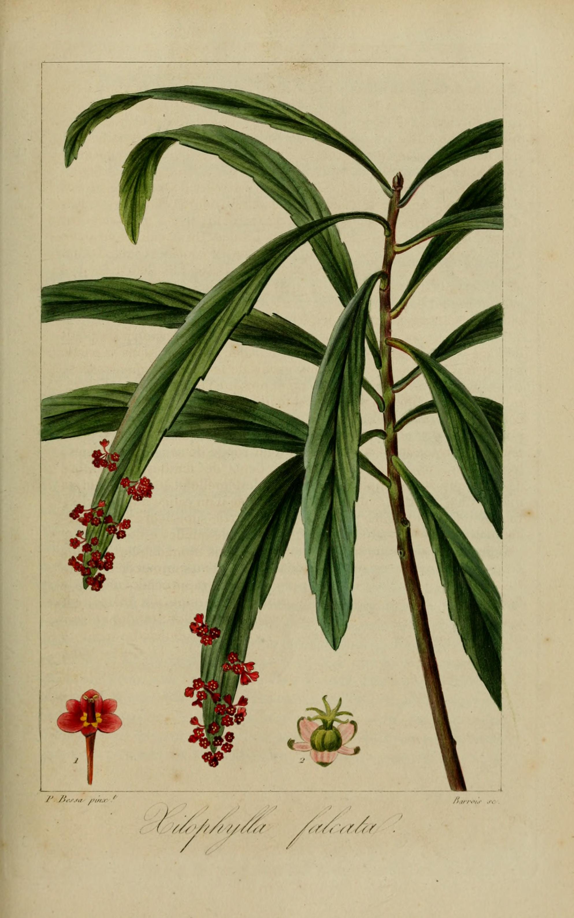 no full size  illustration available (3a)