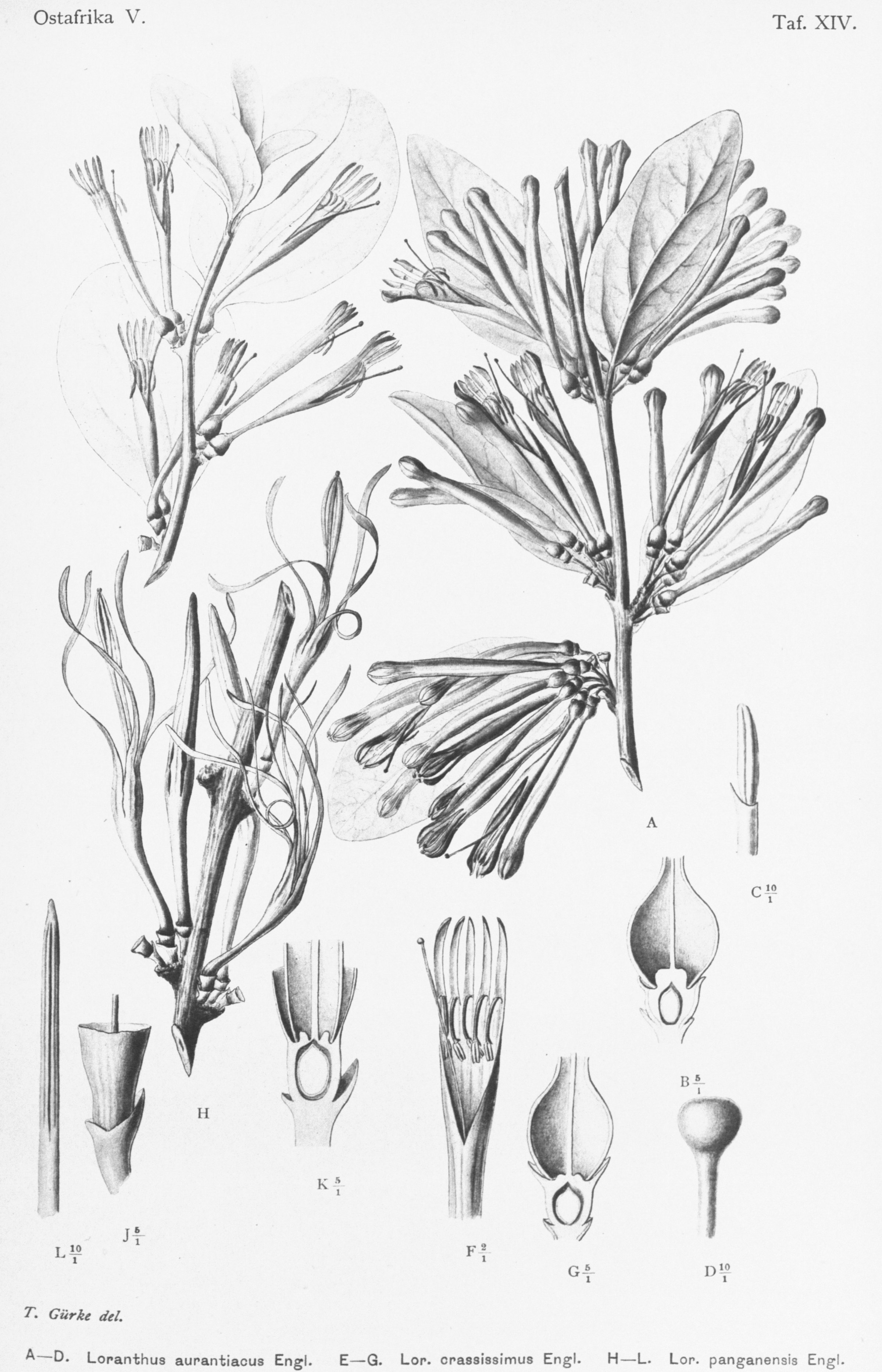 no full size  illustration available (3a)