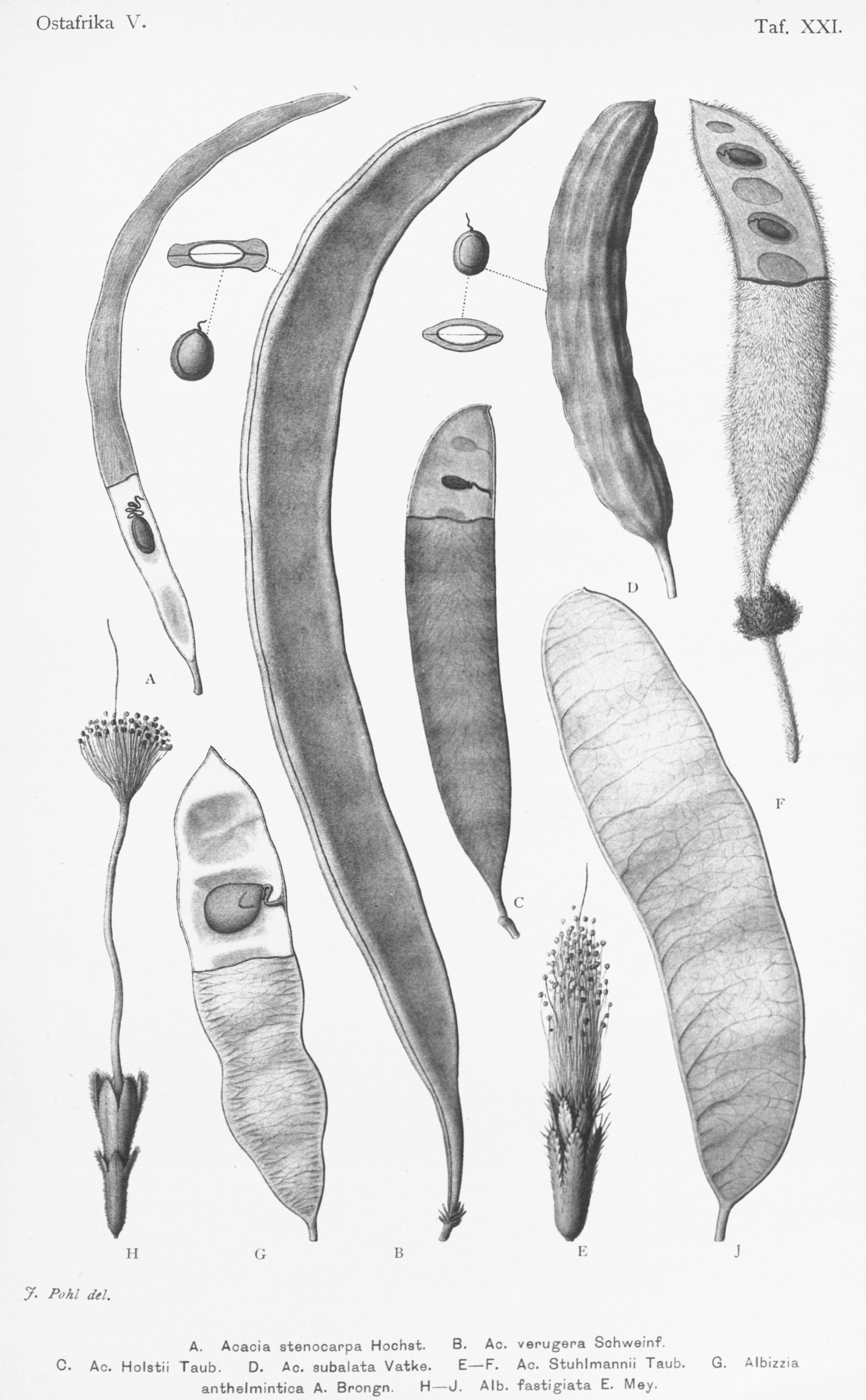 no full size  illustration available (3a)