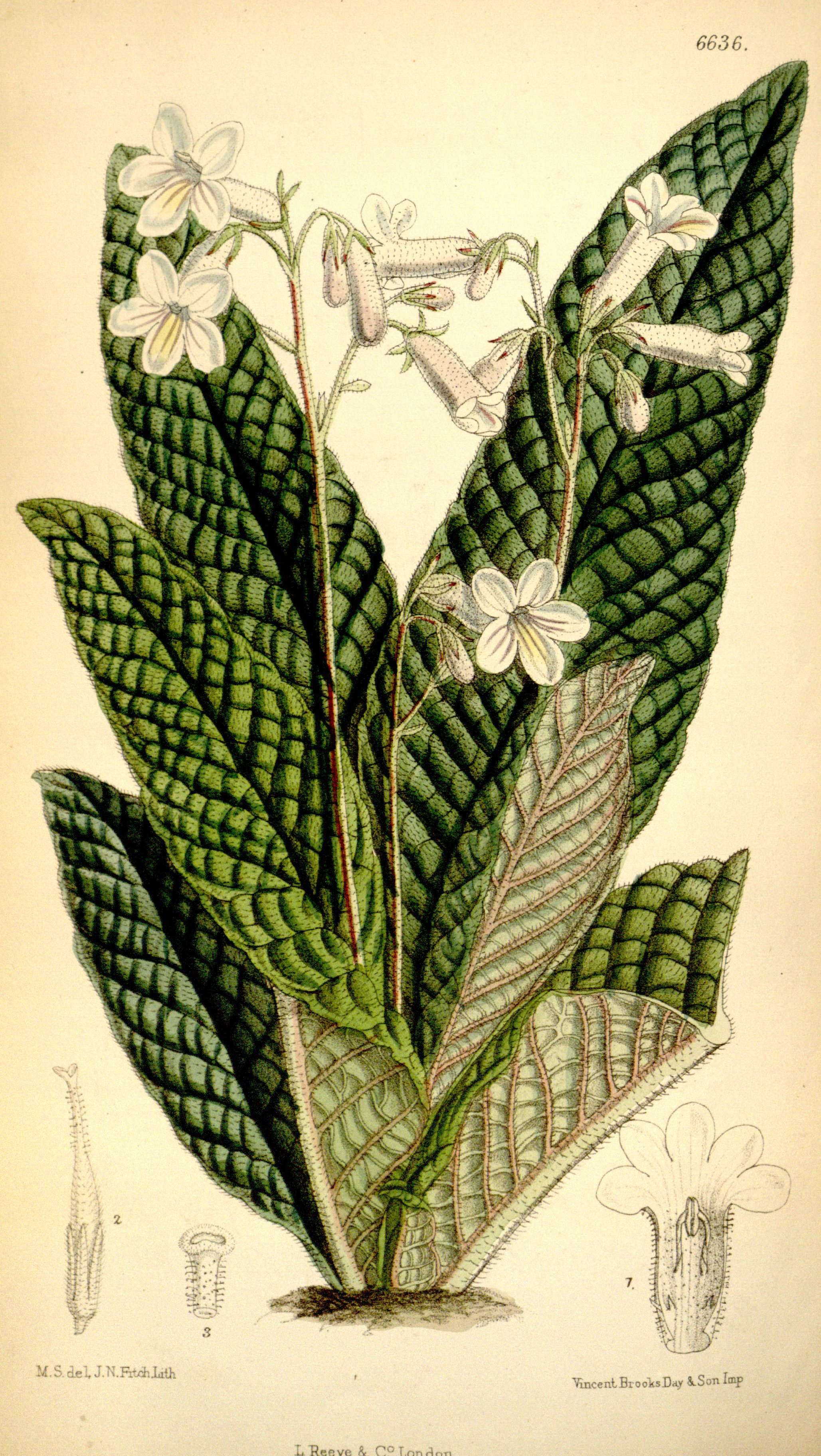 no full size  illustration available (3a)