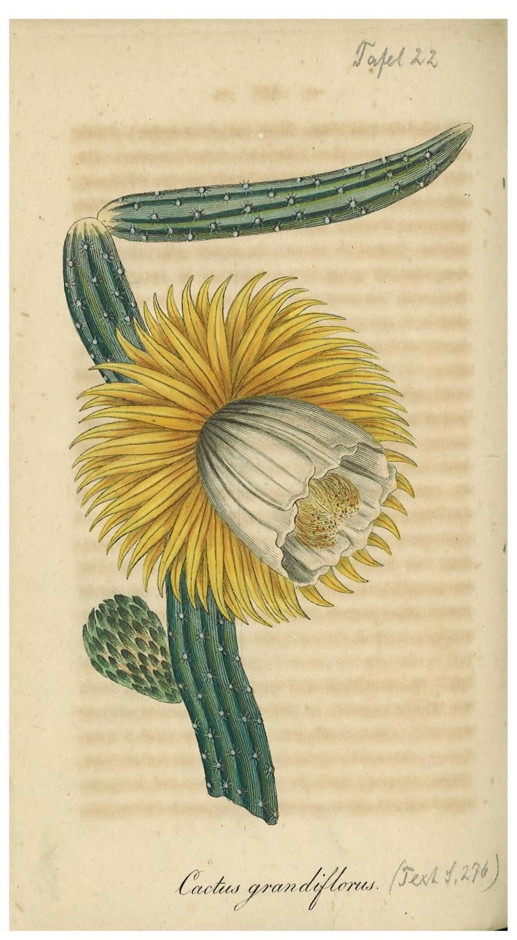 no full size  illustration available (3a)