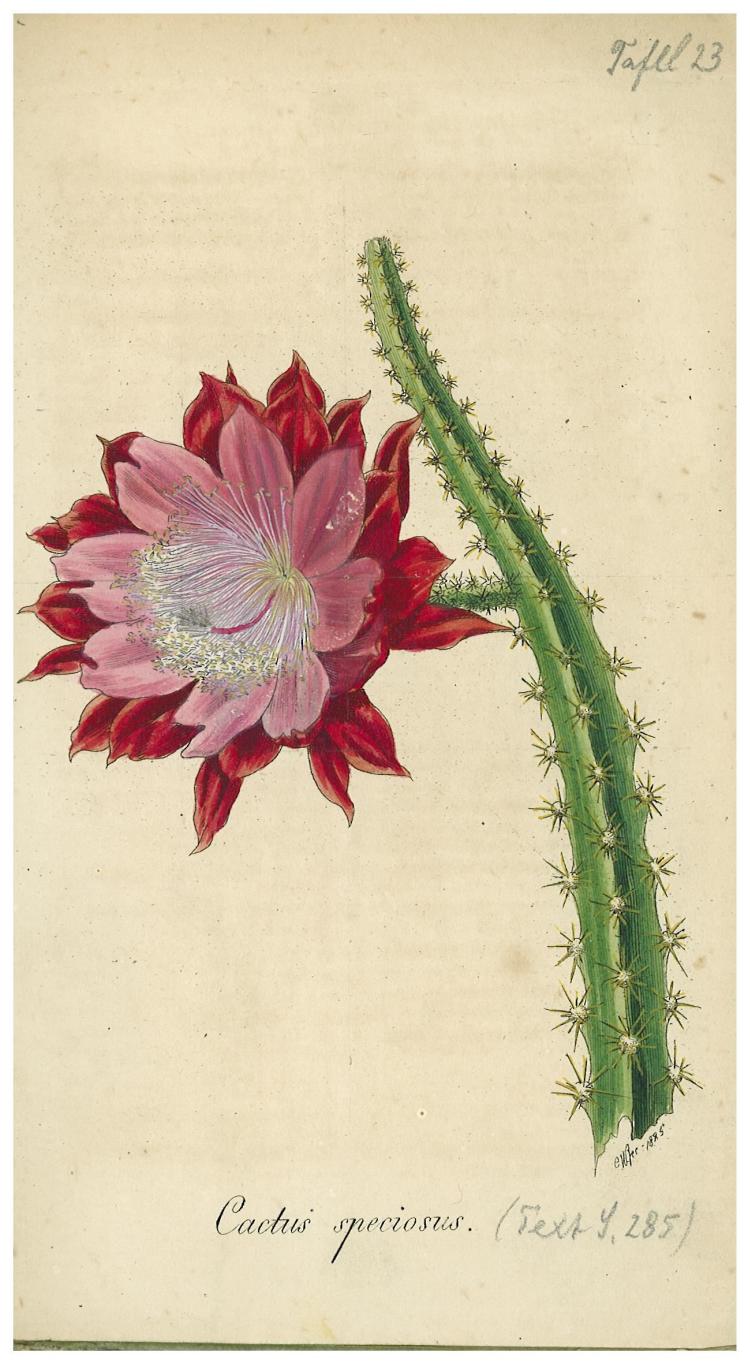 no full size  illustration available (3a)