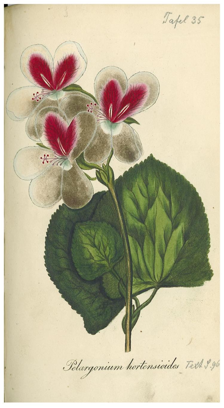 no full size  illustration available (3a)