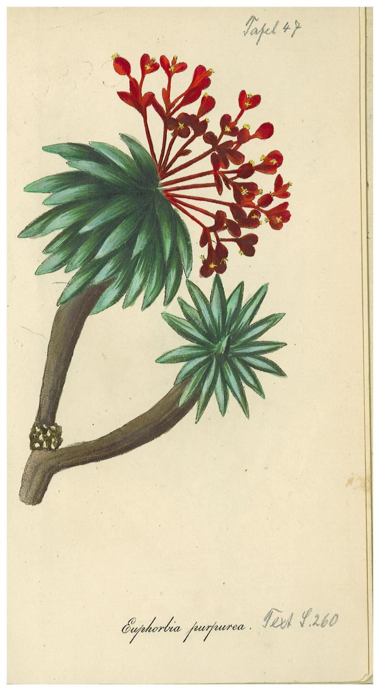 no full size  illustration available (3a)