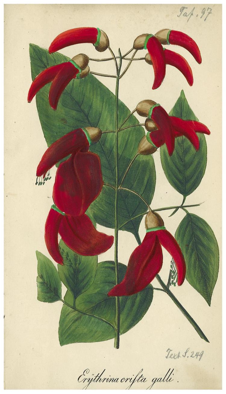 no full size  illustration available (3a)