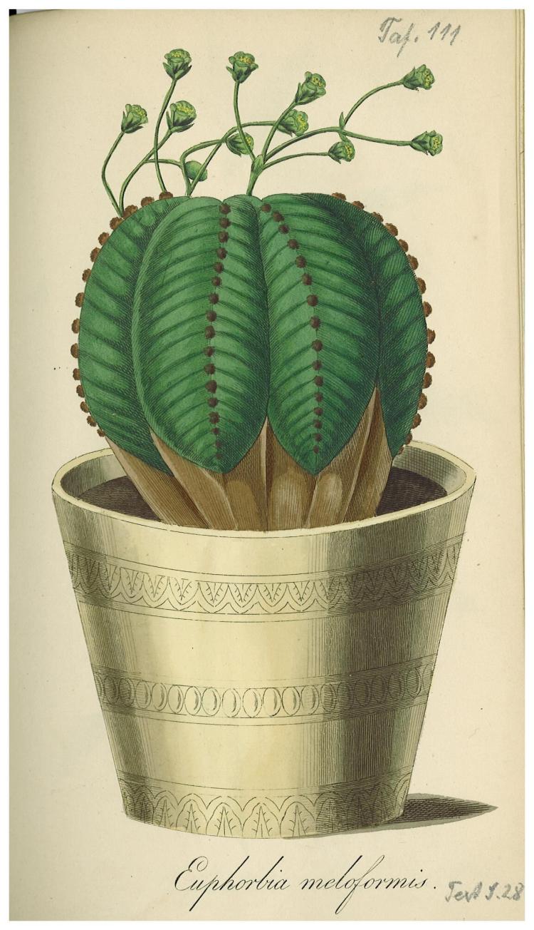 no full size  illustration available (3a)