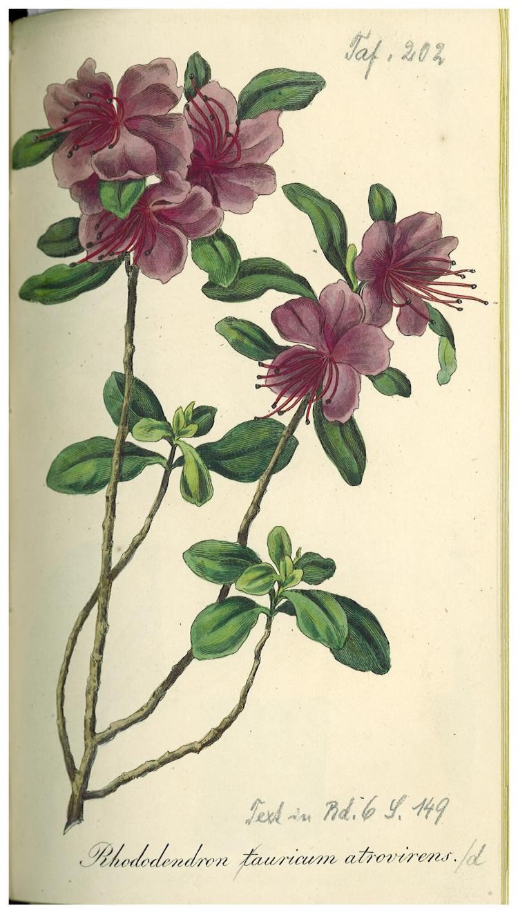 no full size  illustration available (3a)