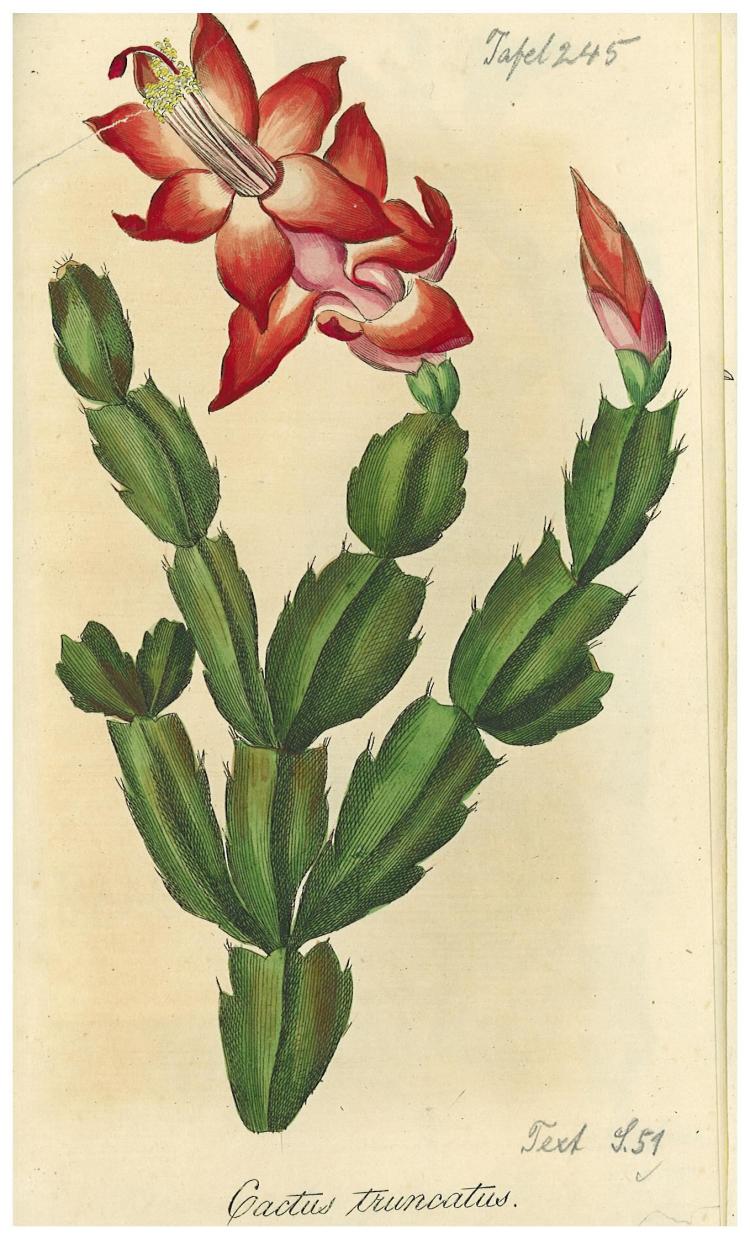 no full size  illustration available (3a)