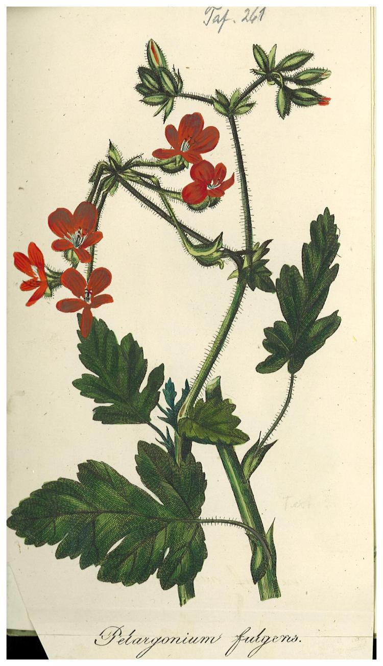 no full size  illustration available (3a)