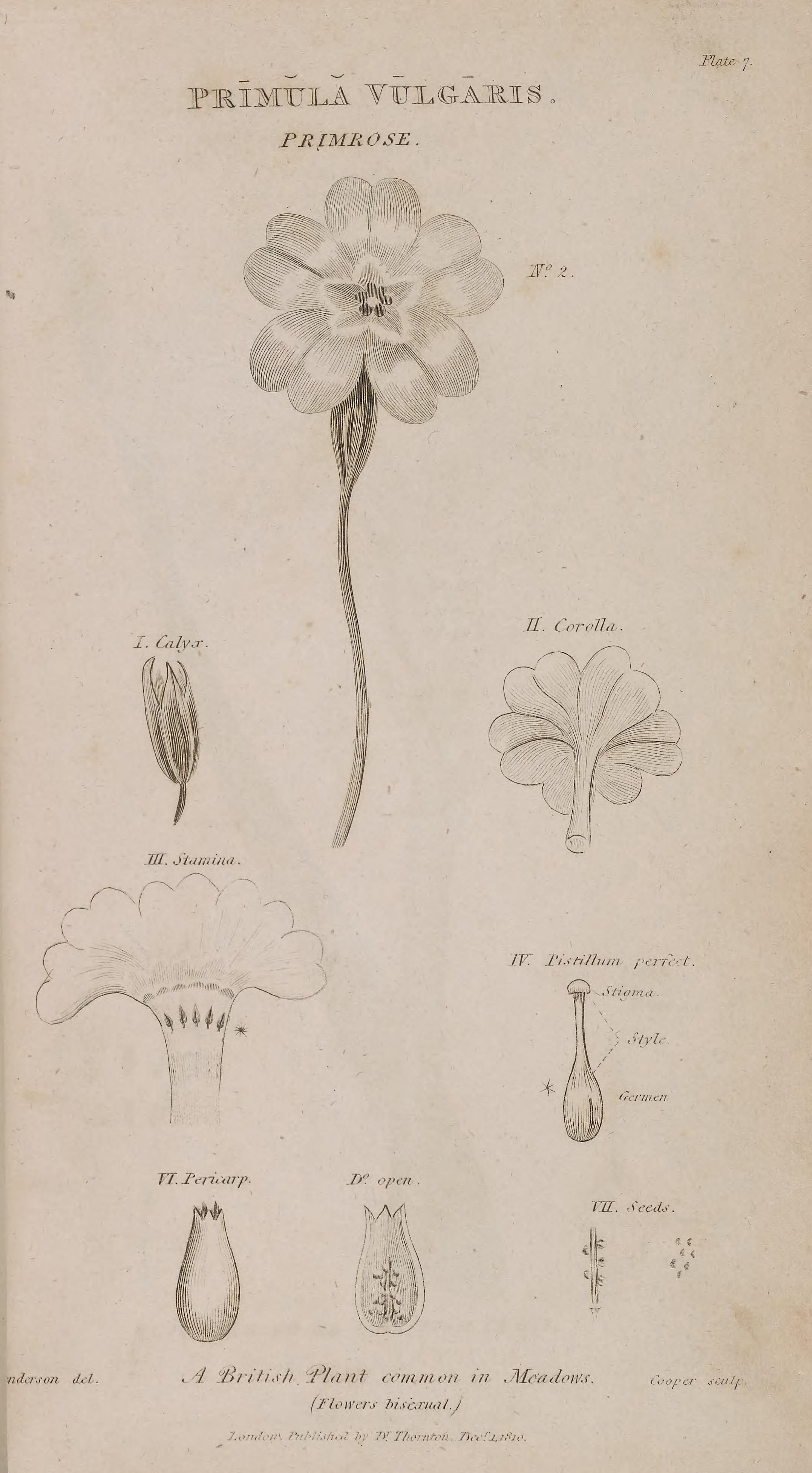 no full size  illustration available (3a)