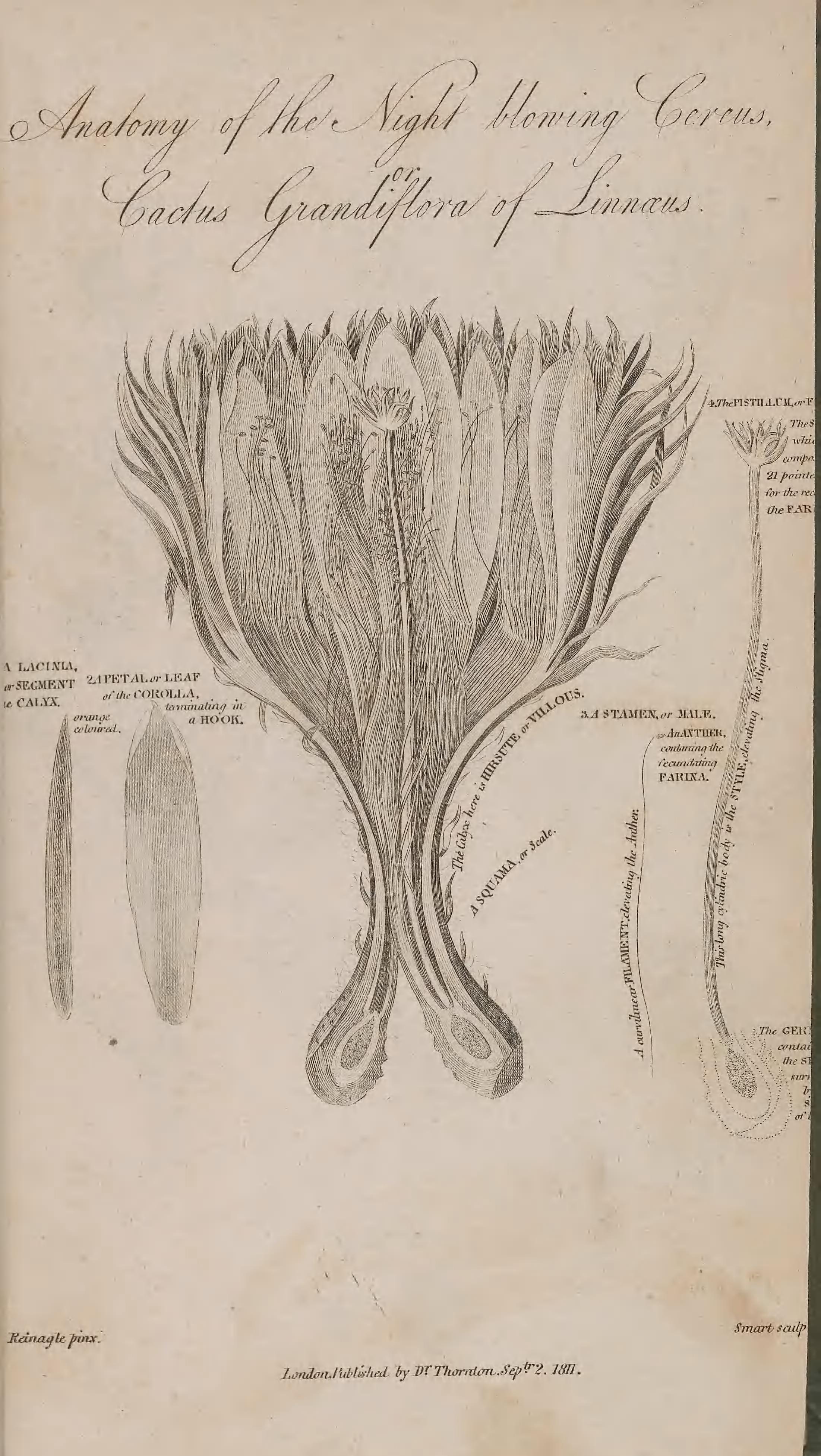 no full size  illustration available (3a)