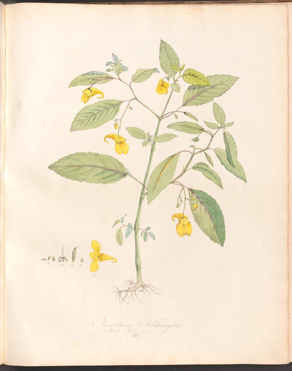 no full size  illustration available (3a)