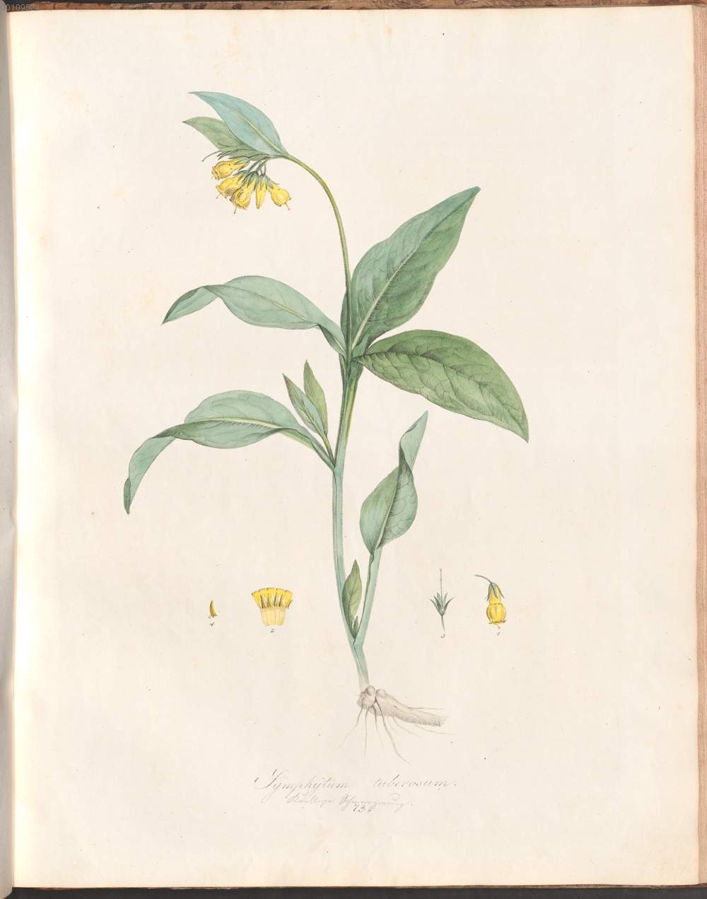 no full size  illustration available (3a)