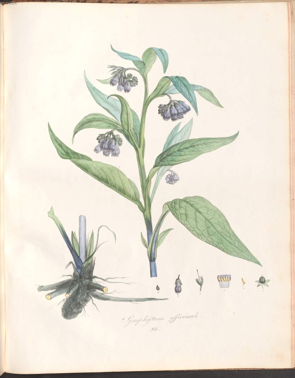 no full size  illustration available (3a)