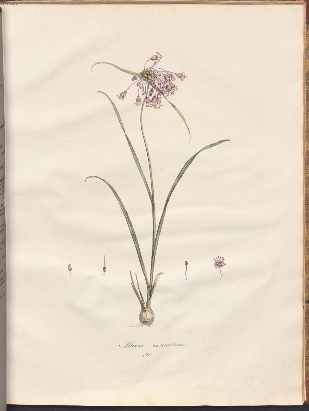 no full size  illustration available (3a)