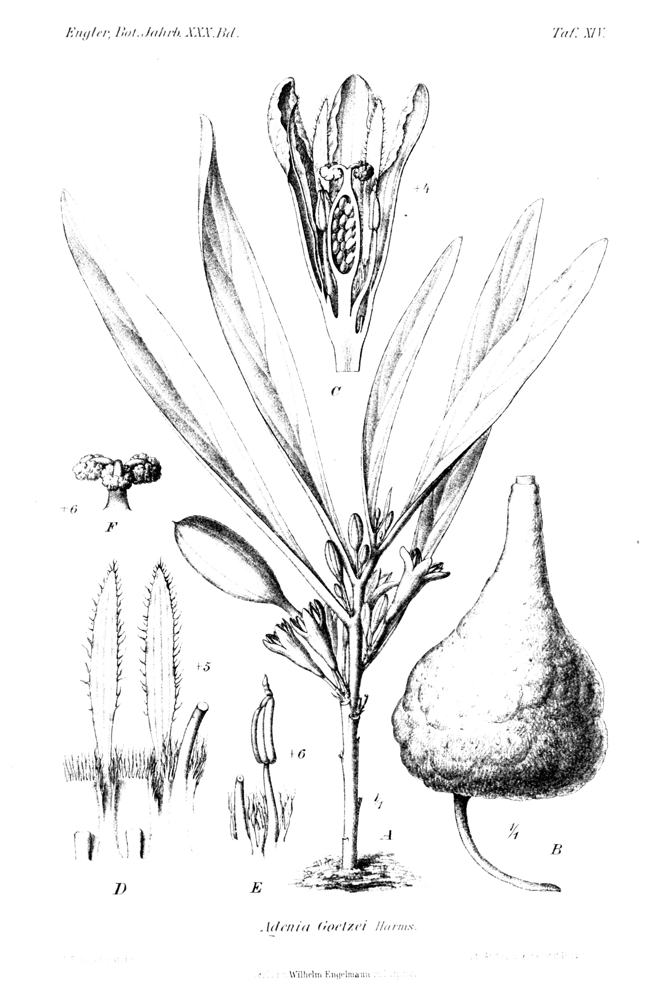 no full size  illustration available (3a)