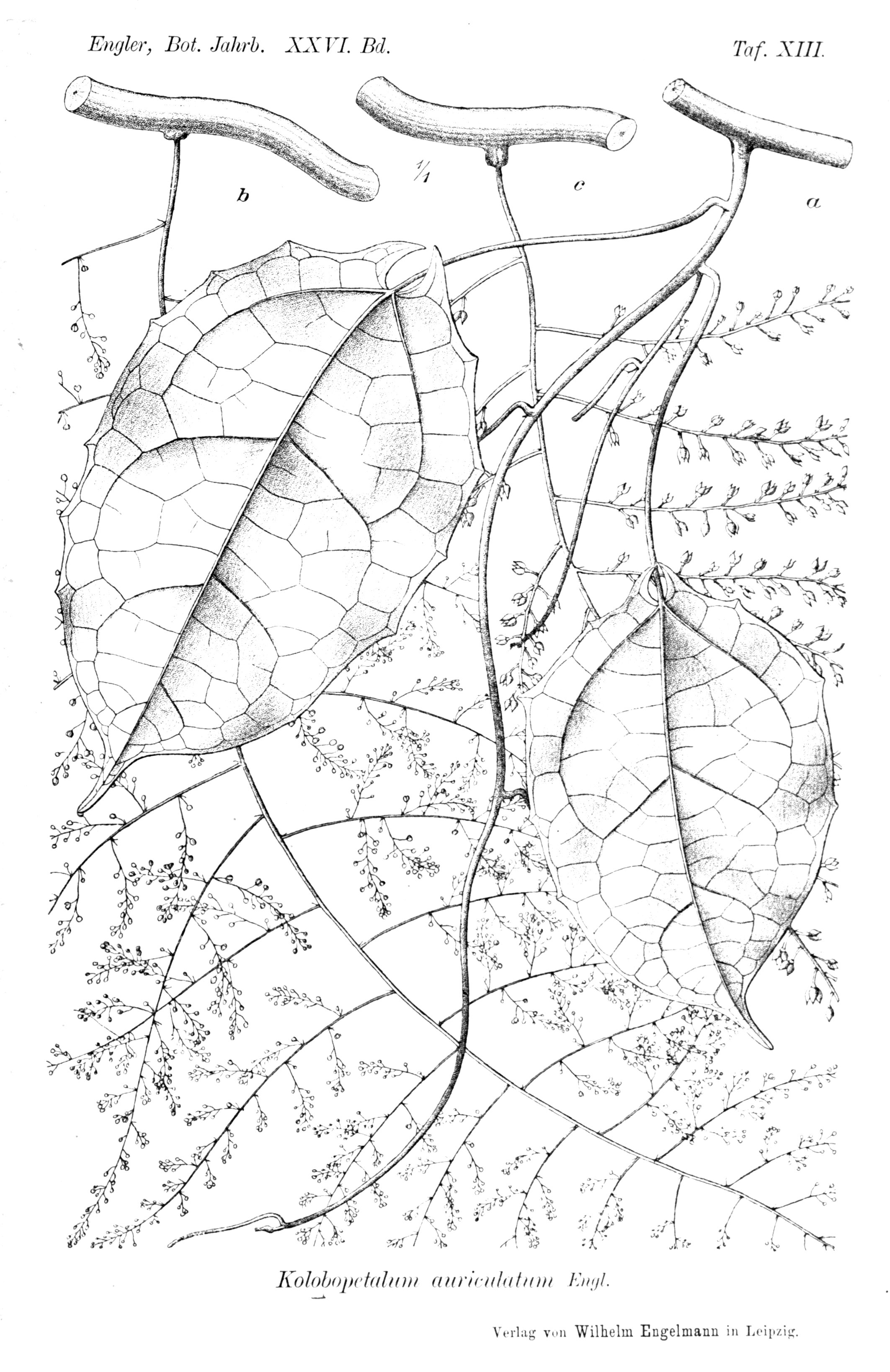 no full size  illustration available (3a)