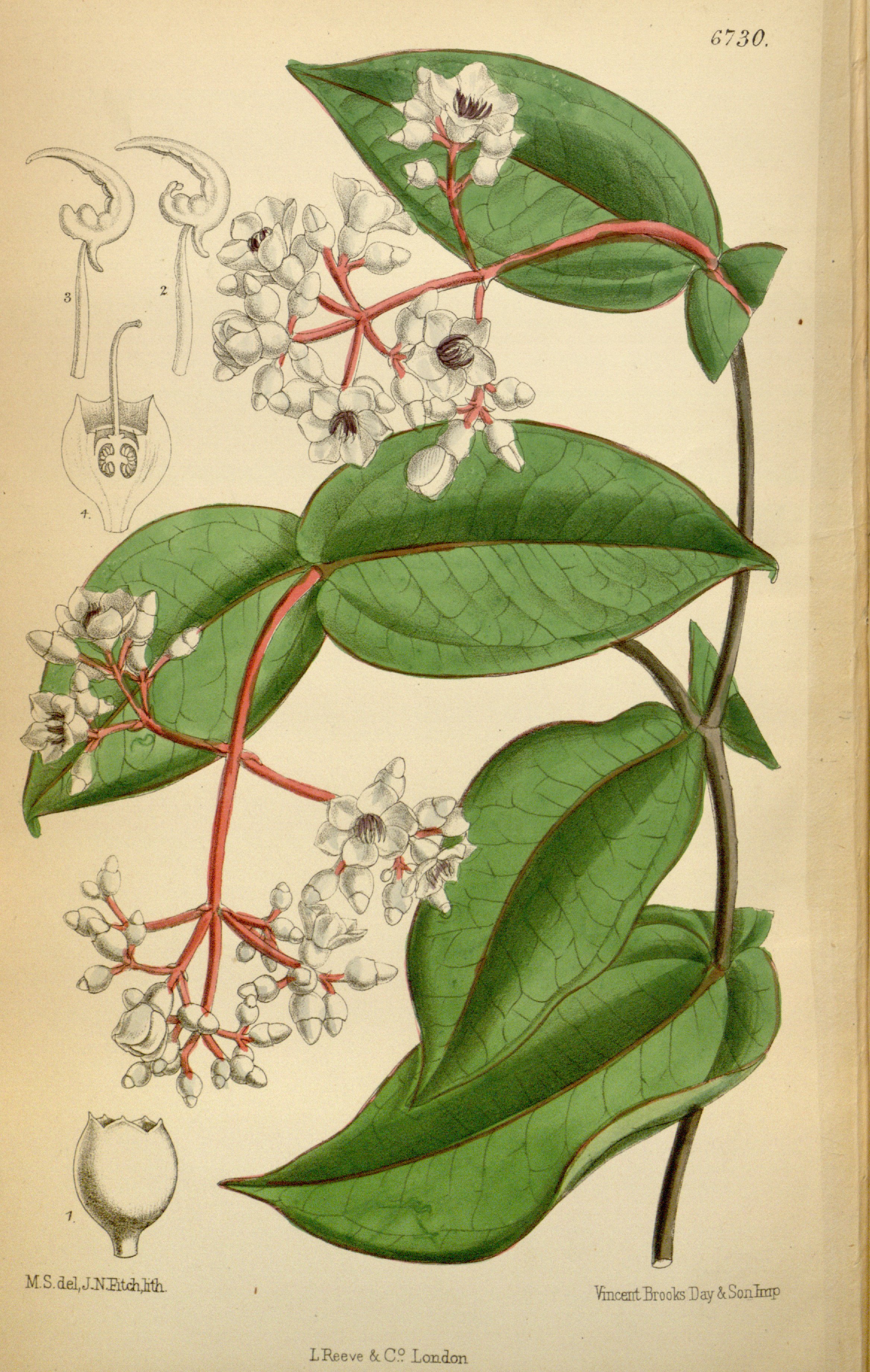 no full size  illustration available (3a)